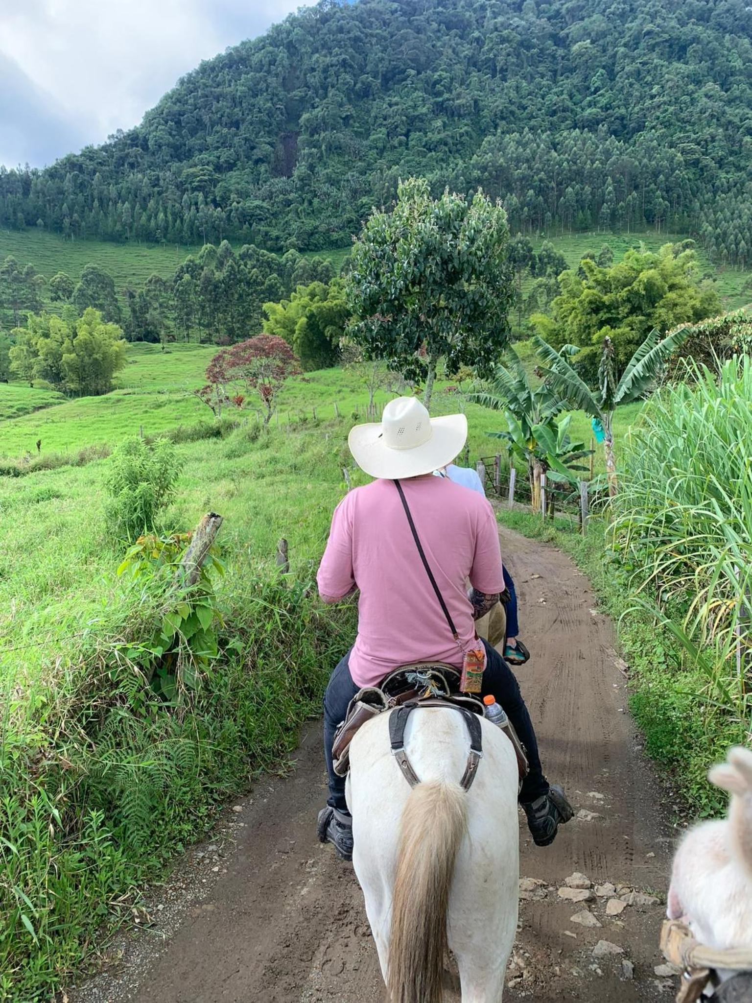 Incredible Working Coffee Farm Private Lodging