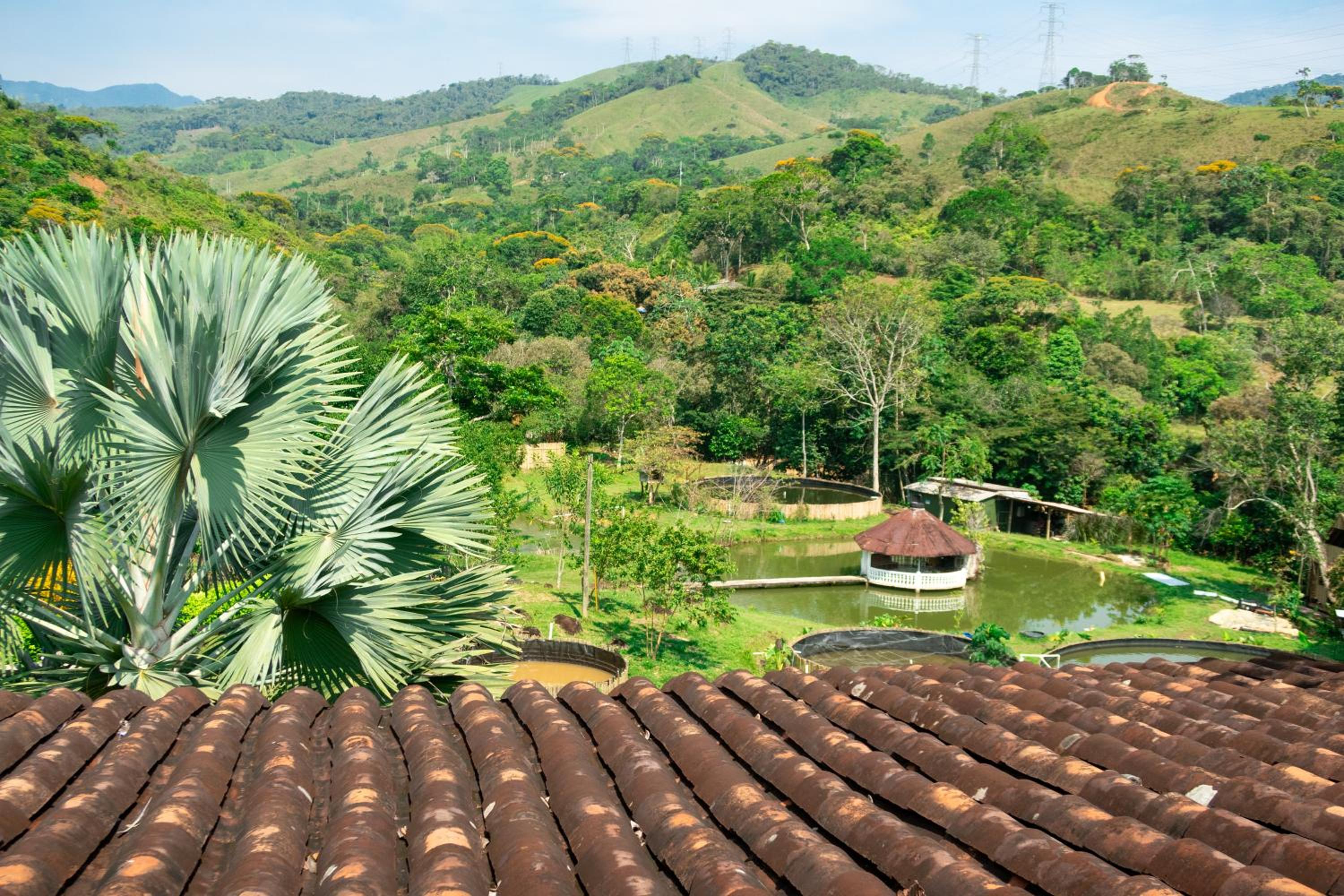 Hospedaje RioBosque San Carlos