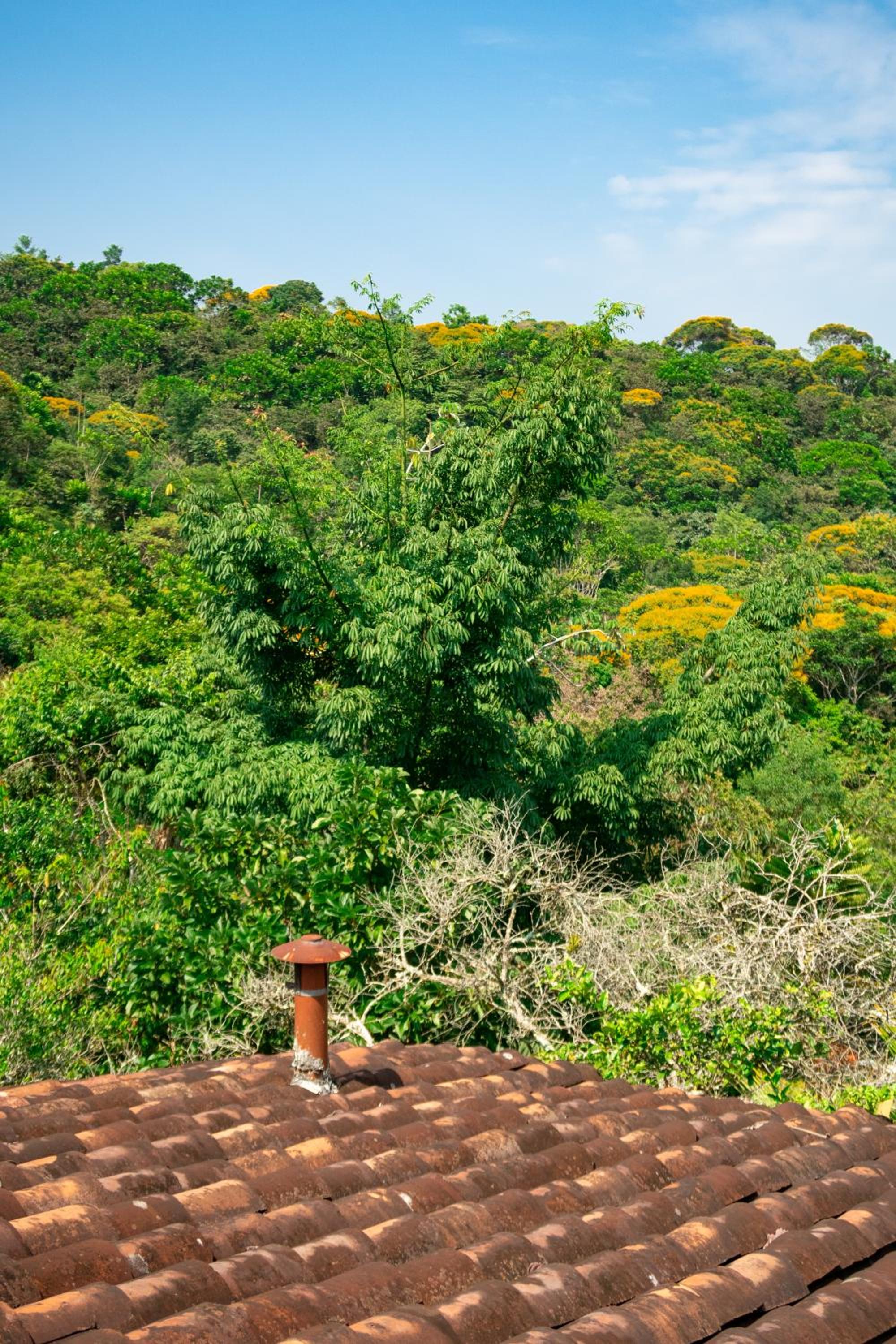 Hospedaje RioBosque San Carlos