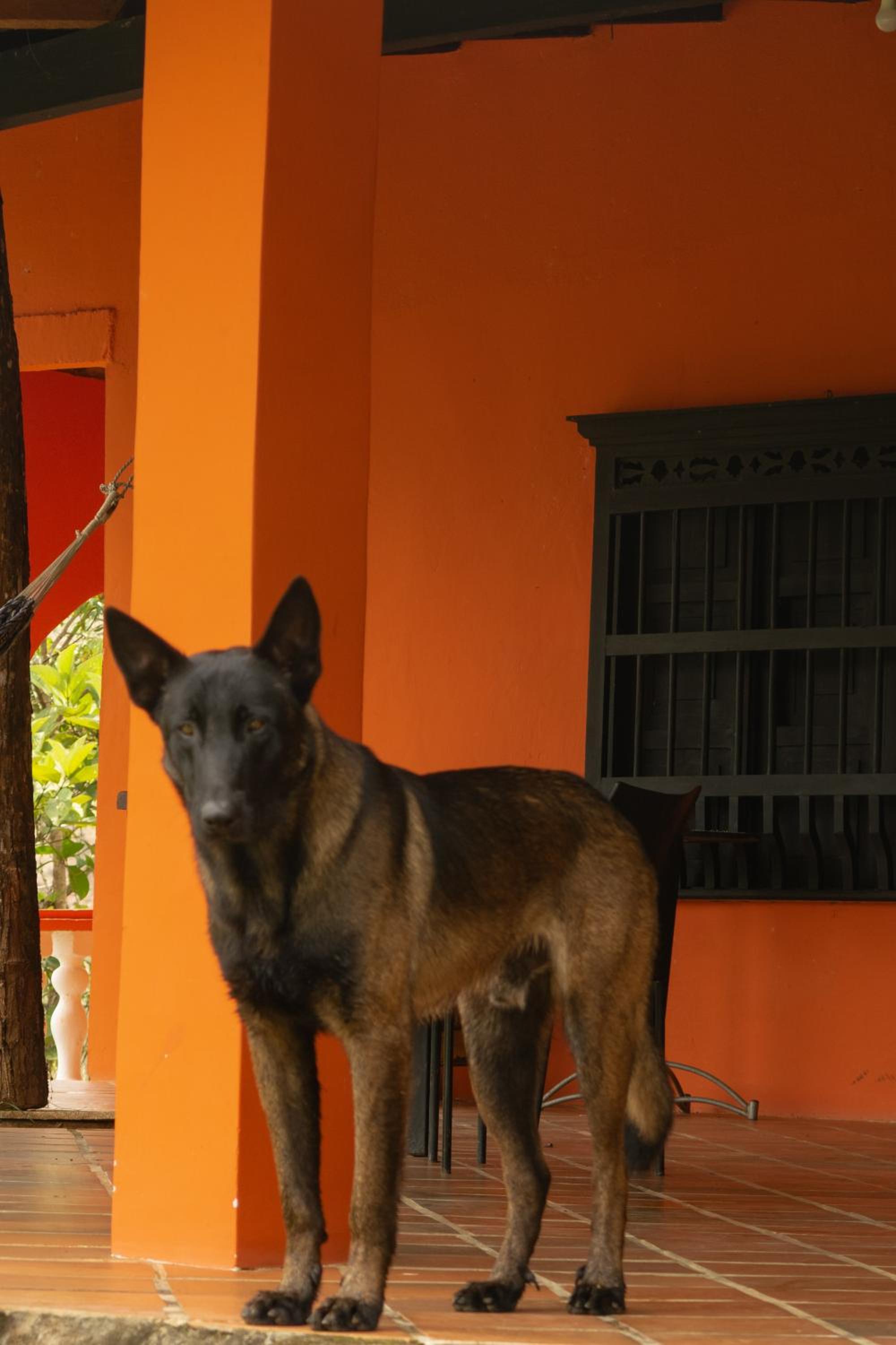 Hospedaje RioBosque San Carlos