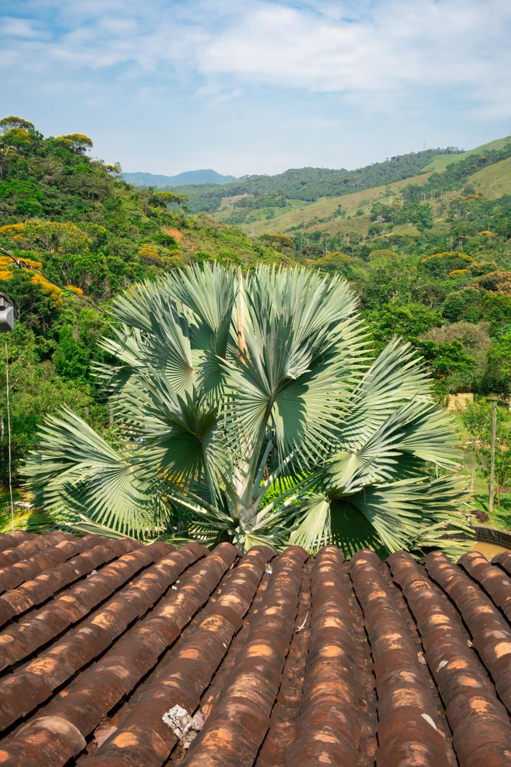 Hospedaje RioBosque San Carlos