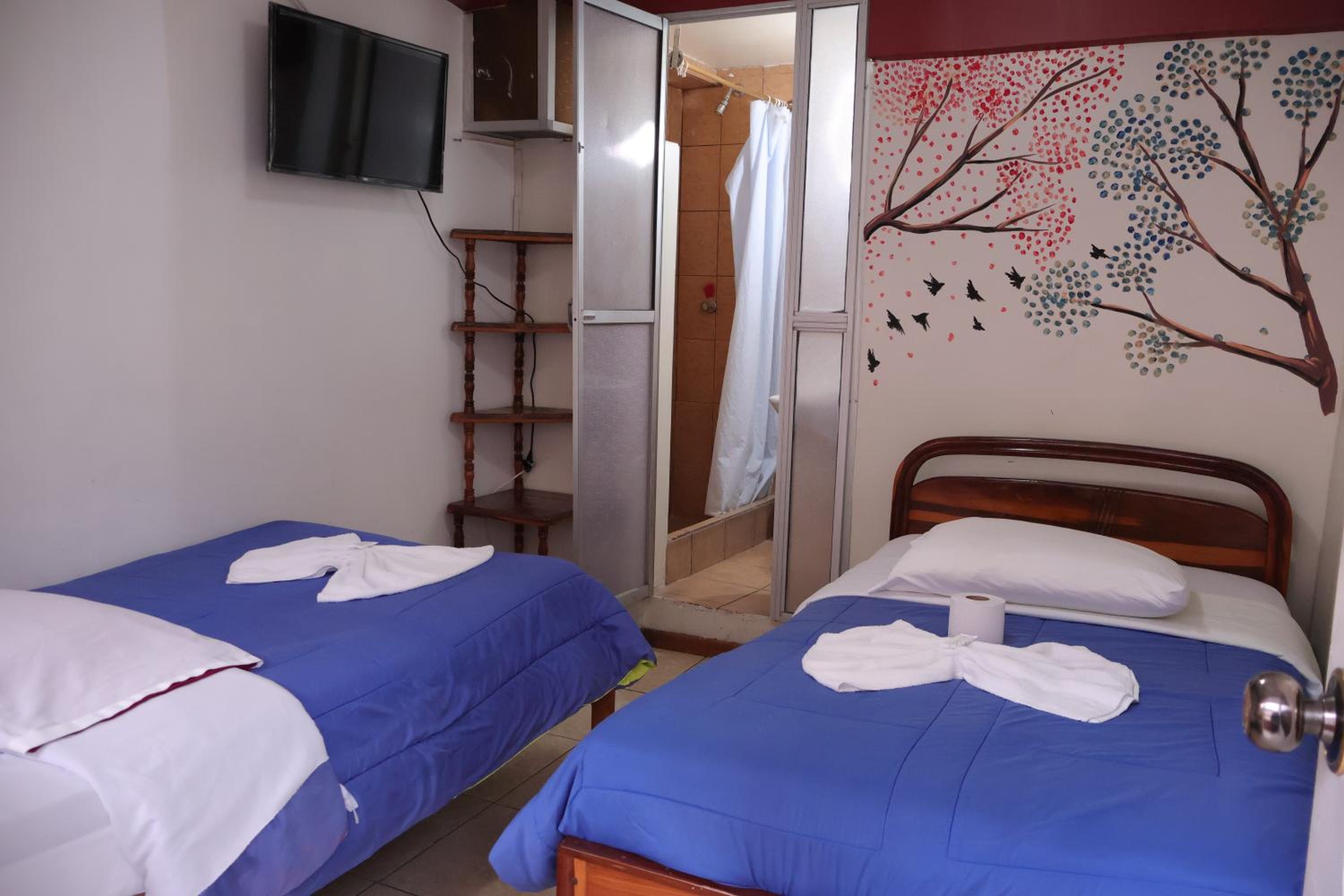 Andes Hostal