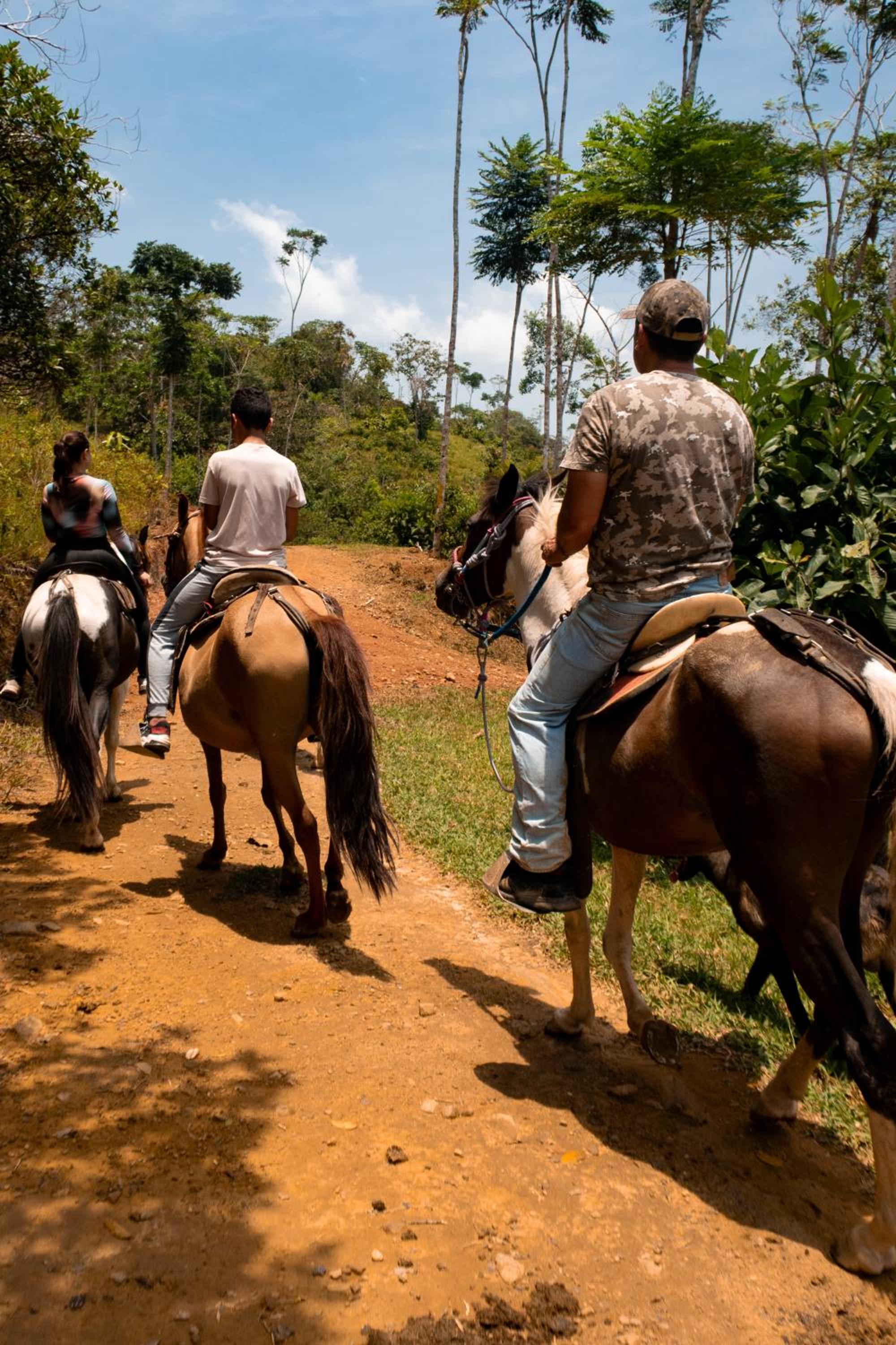 Hospedaje RioBosque San Carlos