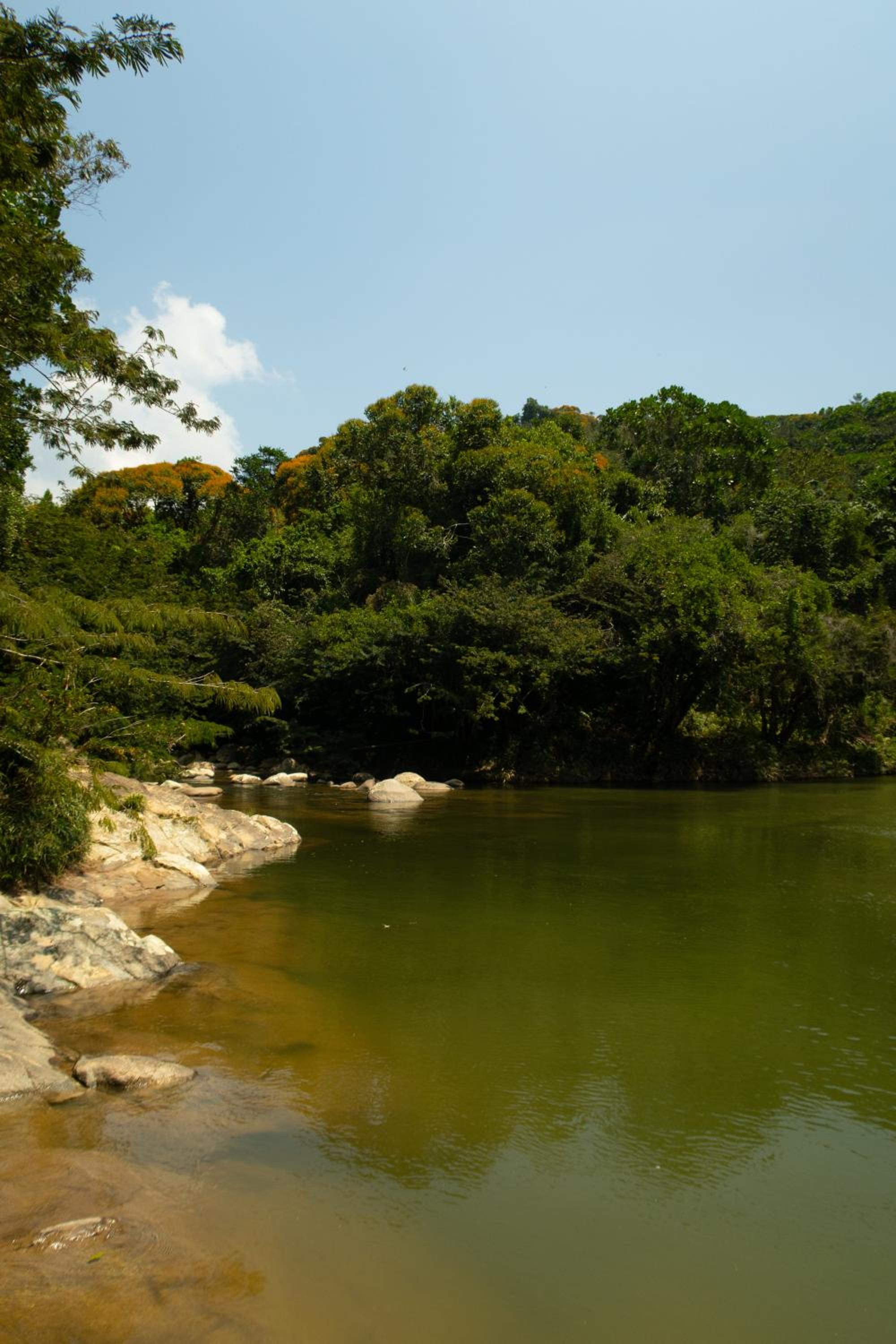 Hospedaje RioBosque San Carlos