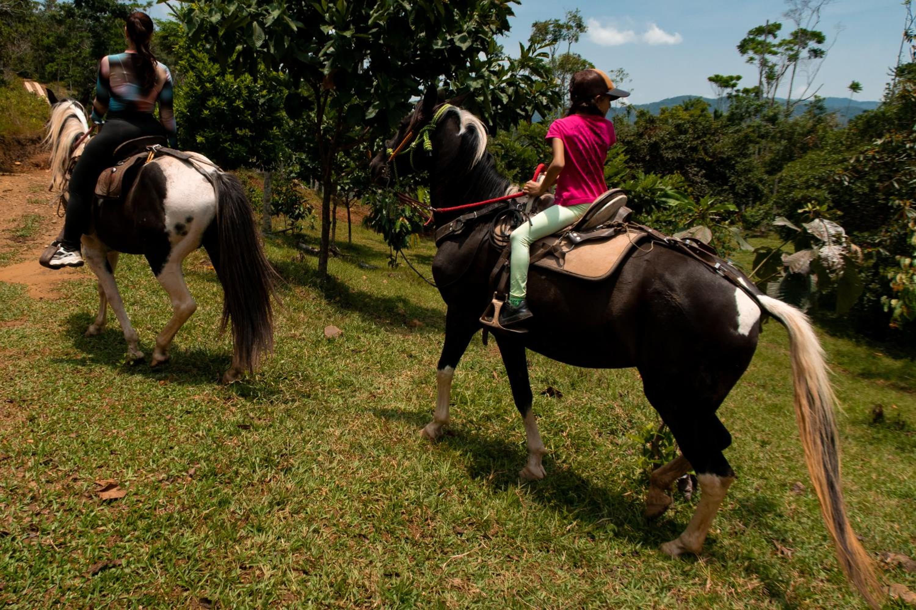 Hospedaje RioBosque San Carlos