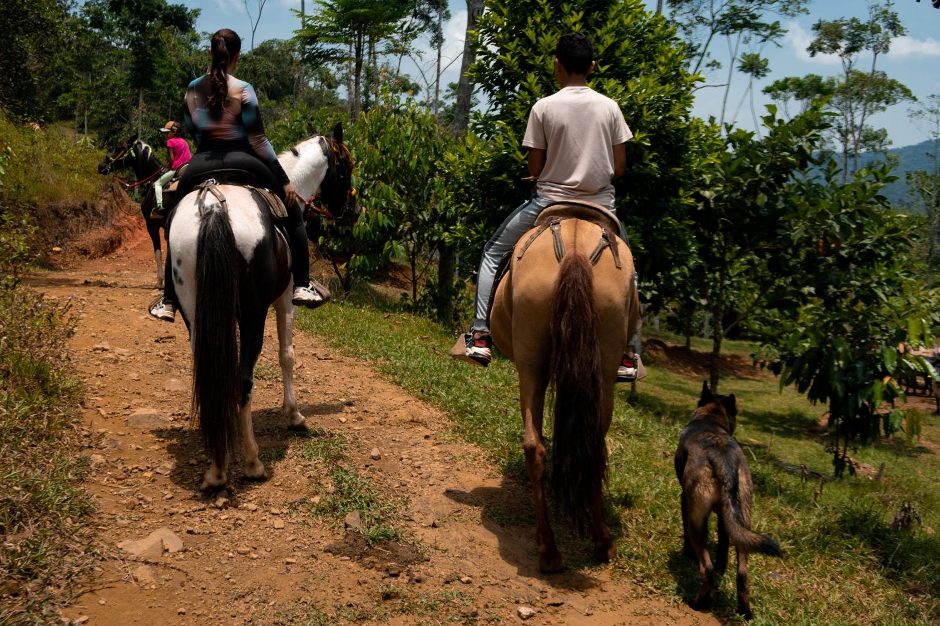 Hospedaje RioBosque San Carlos