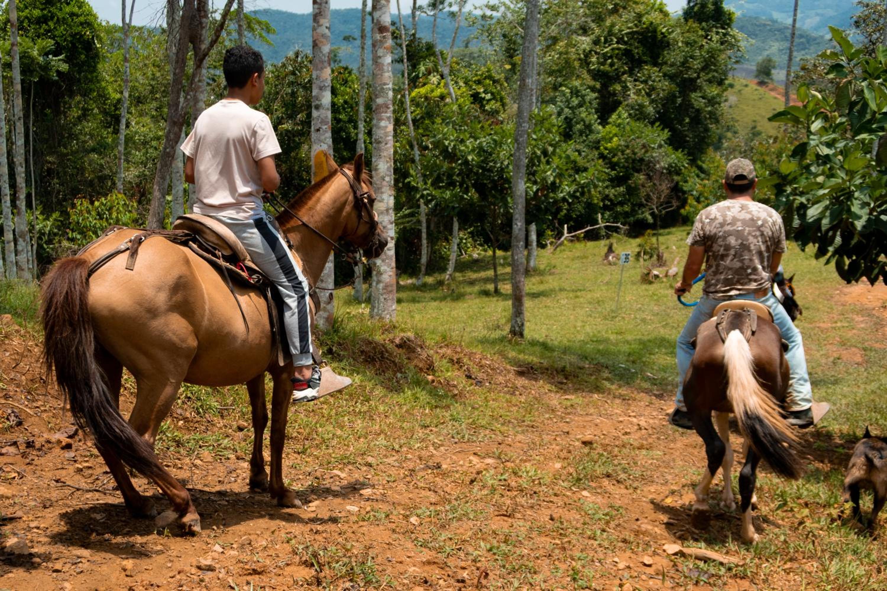 Hospedaje RioBosque San Carlos