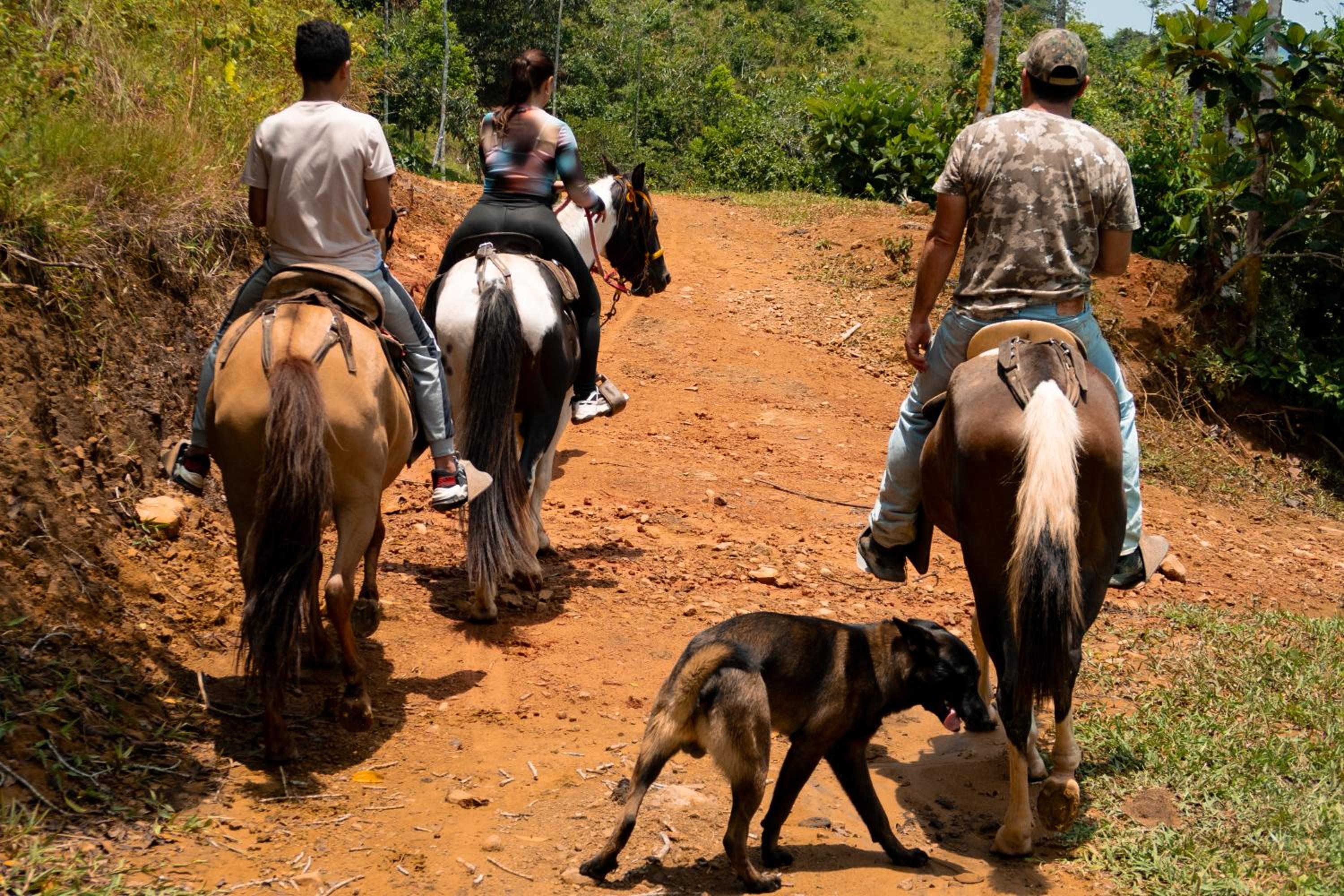 Hospedaje RioBosque San Carlos