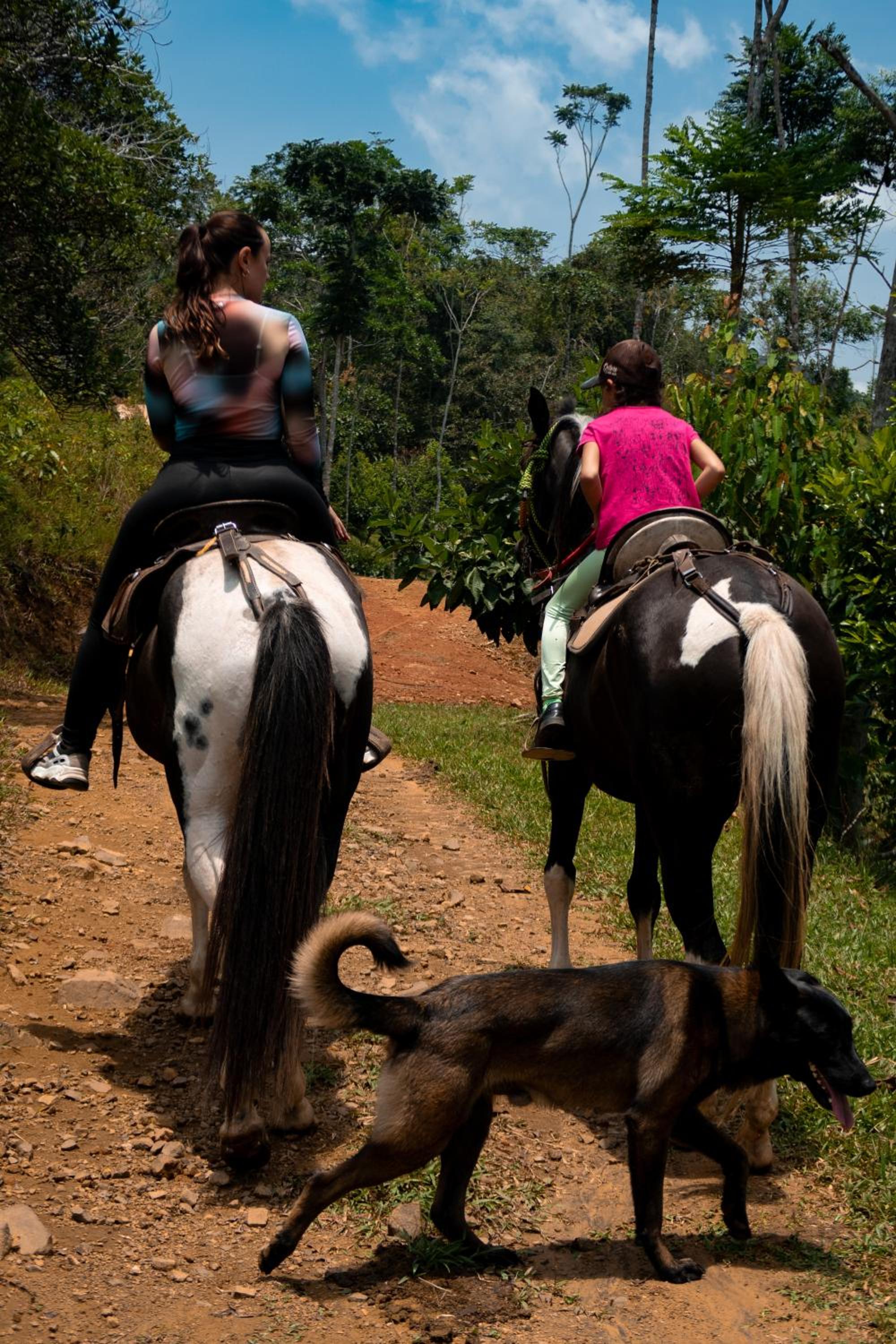 Hospedaje RioBosque San Carlos