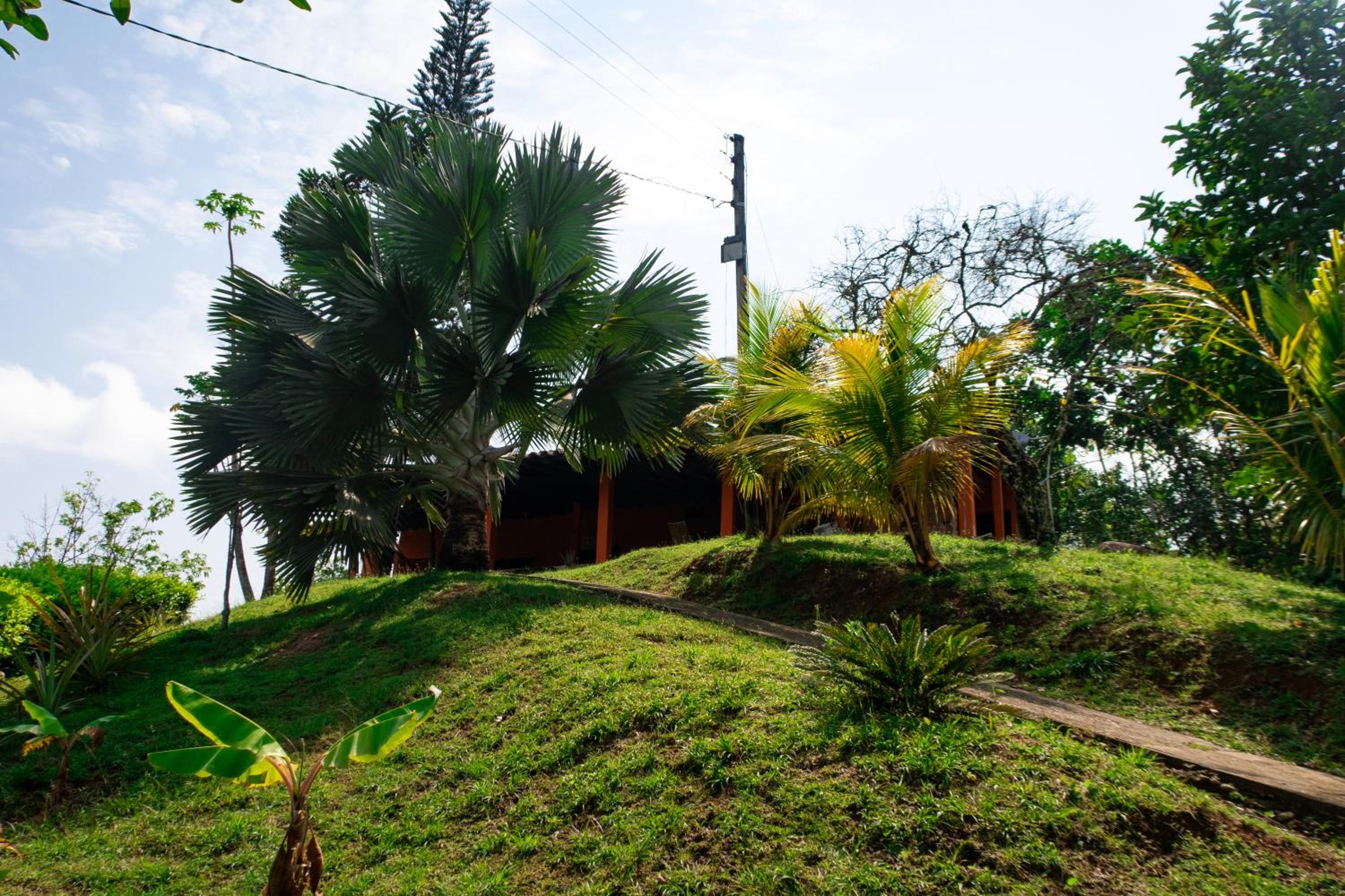 Hospedaje RioBosque San Carlos