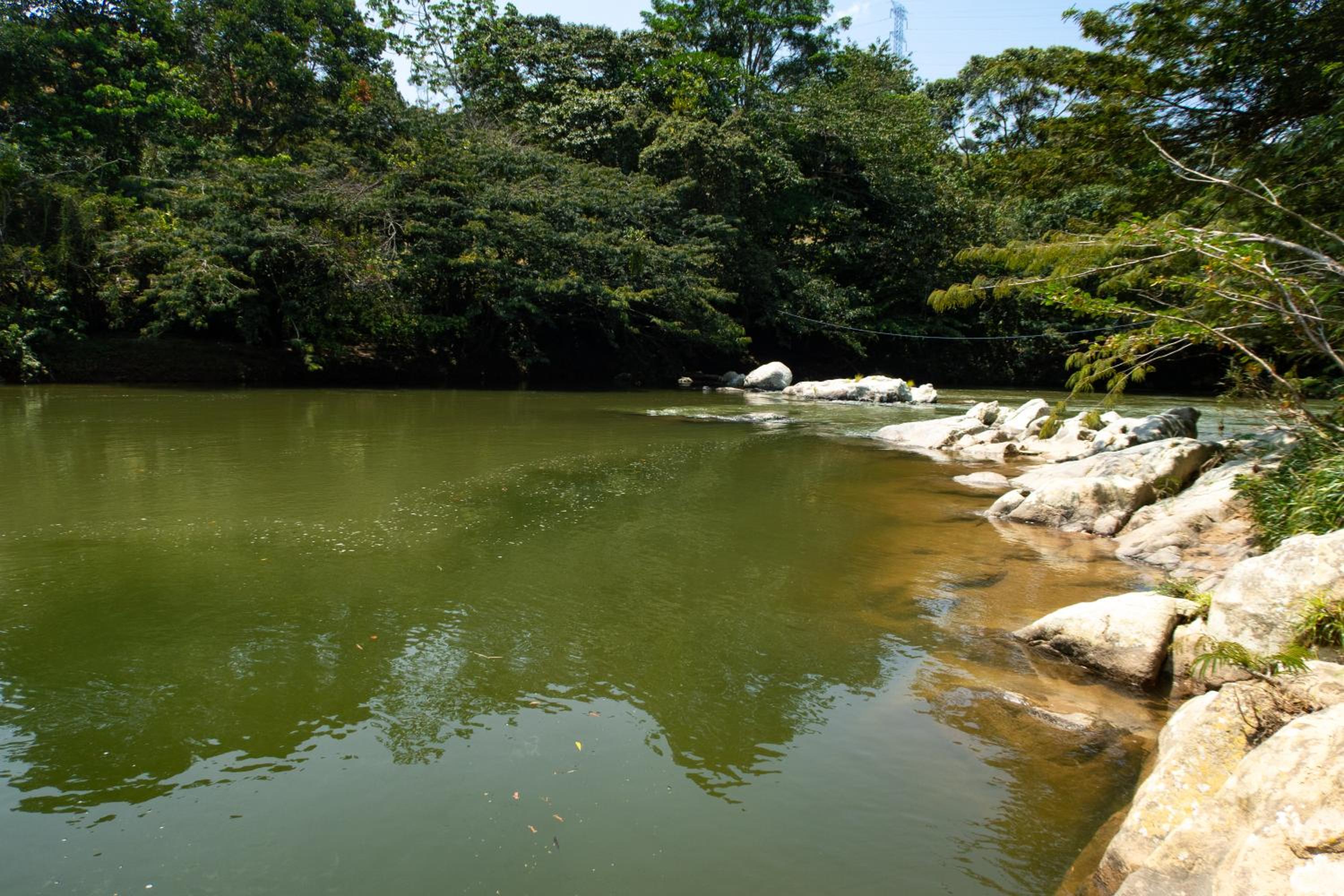 Hospedaje RioBosque San Carlos