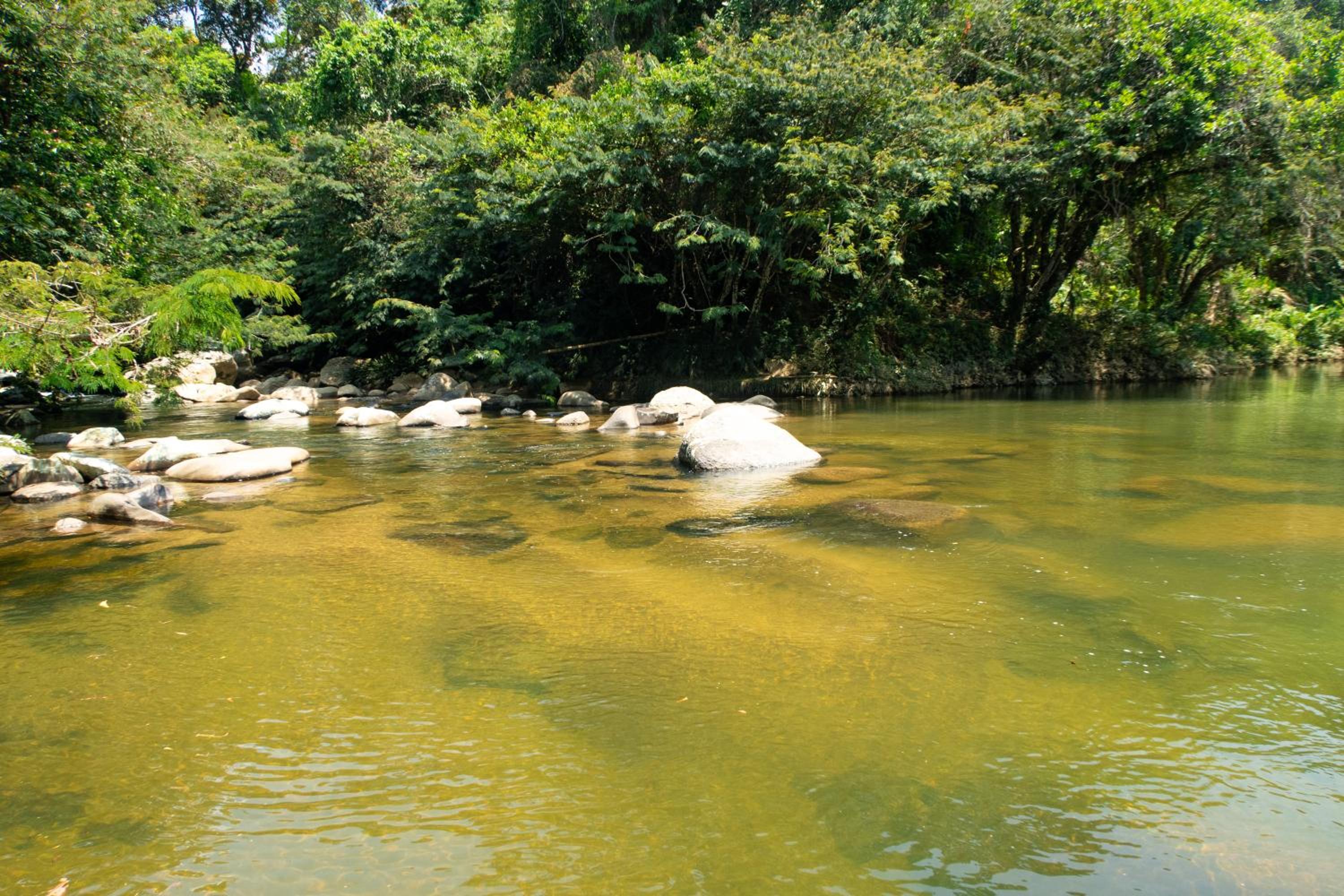 Hospedaje RioBosque San Carlos