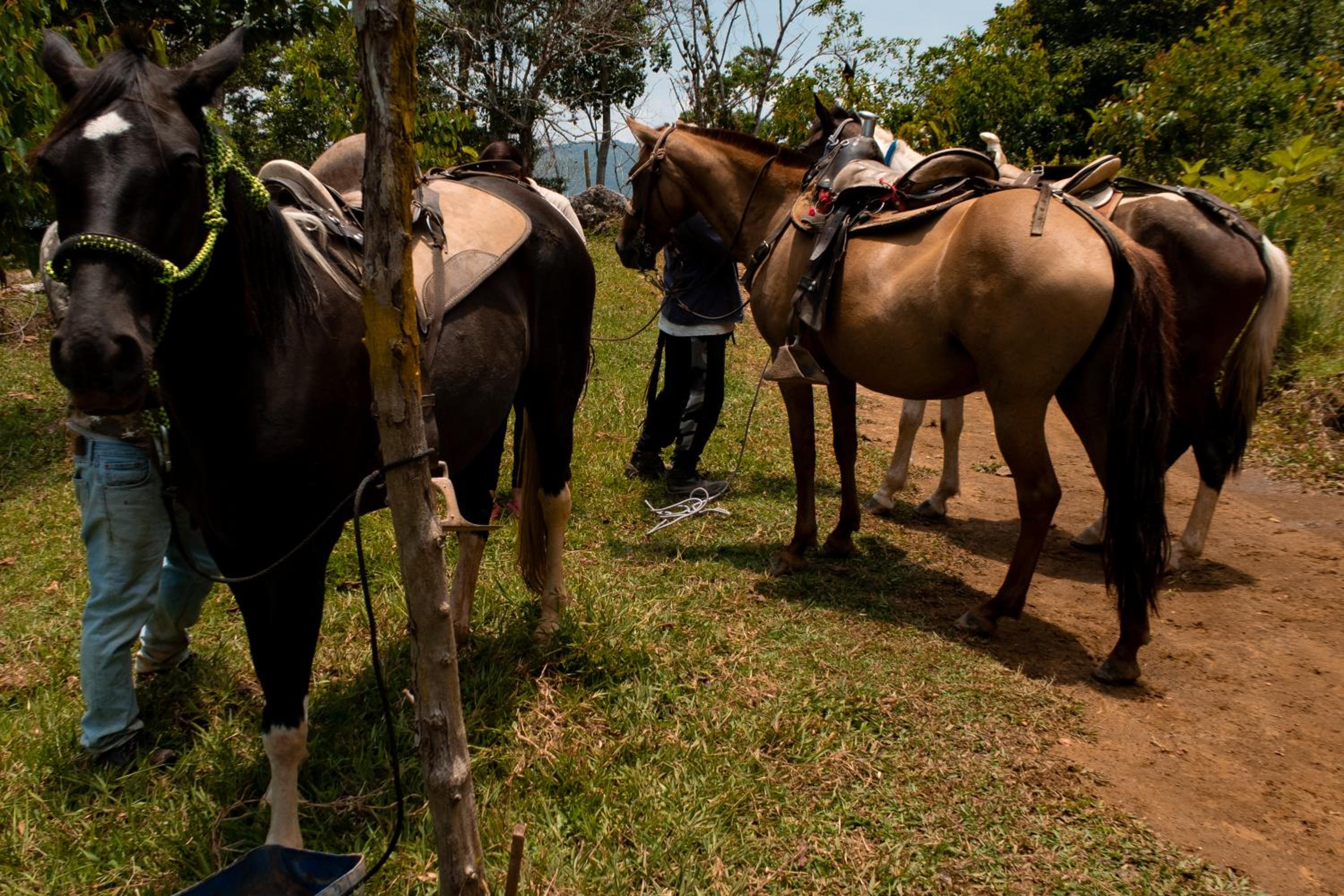 Hospedaje RioBosque San Carlos
