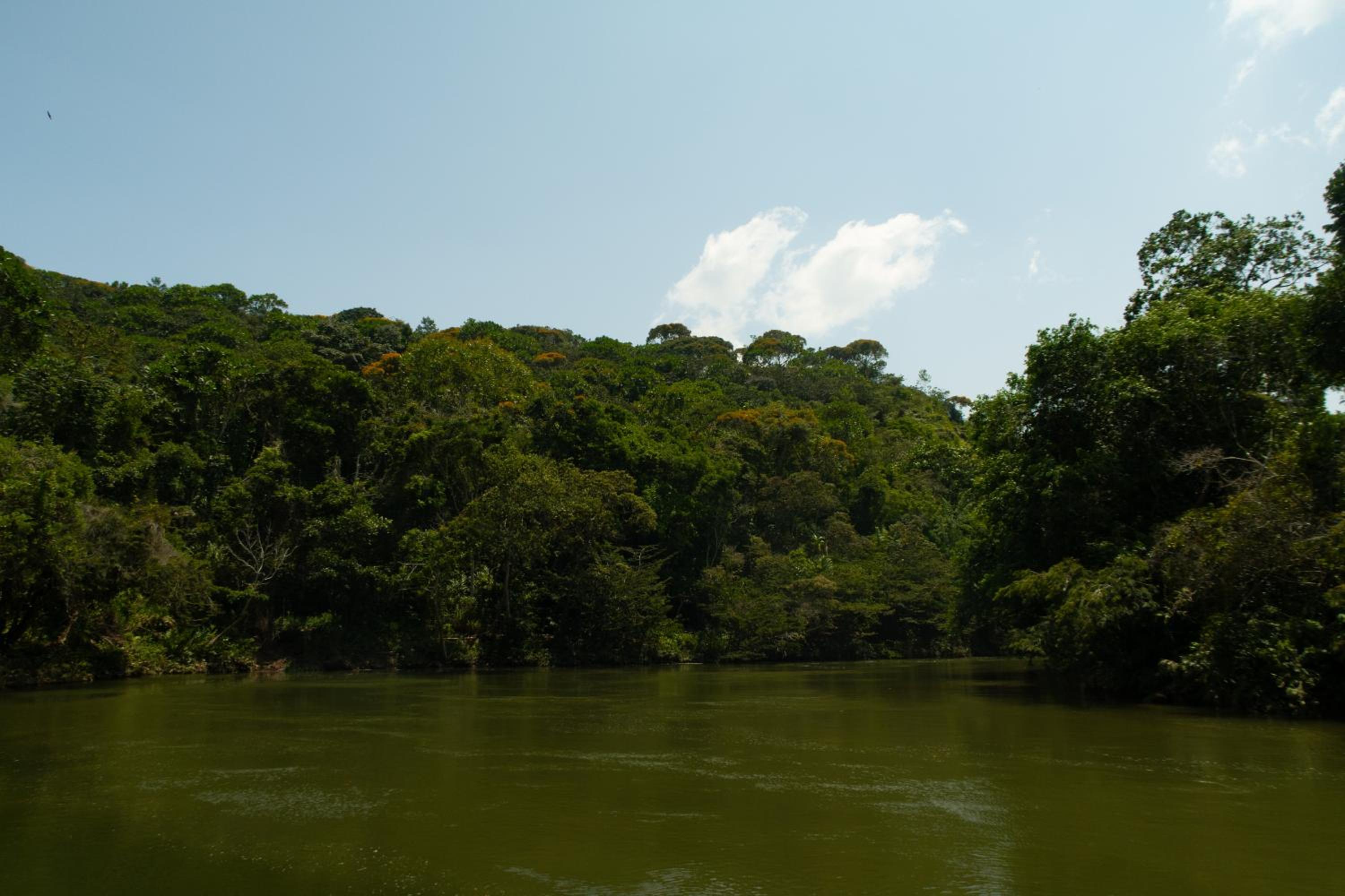 Hospedaje RioBosque San Carlos