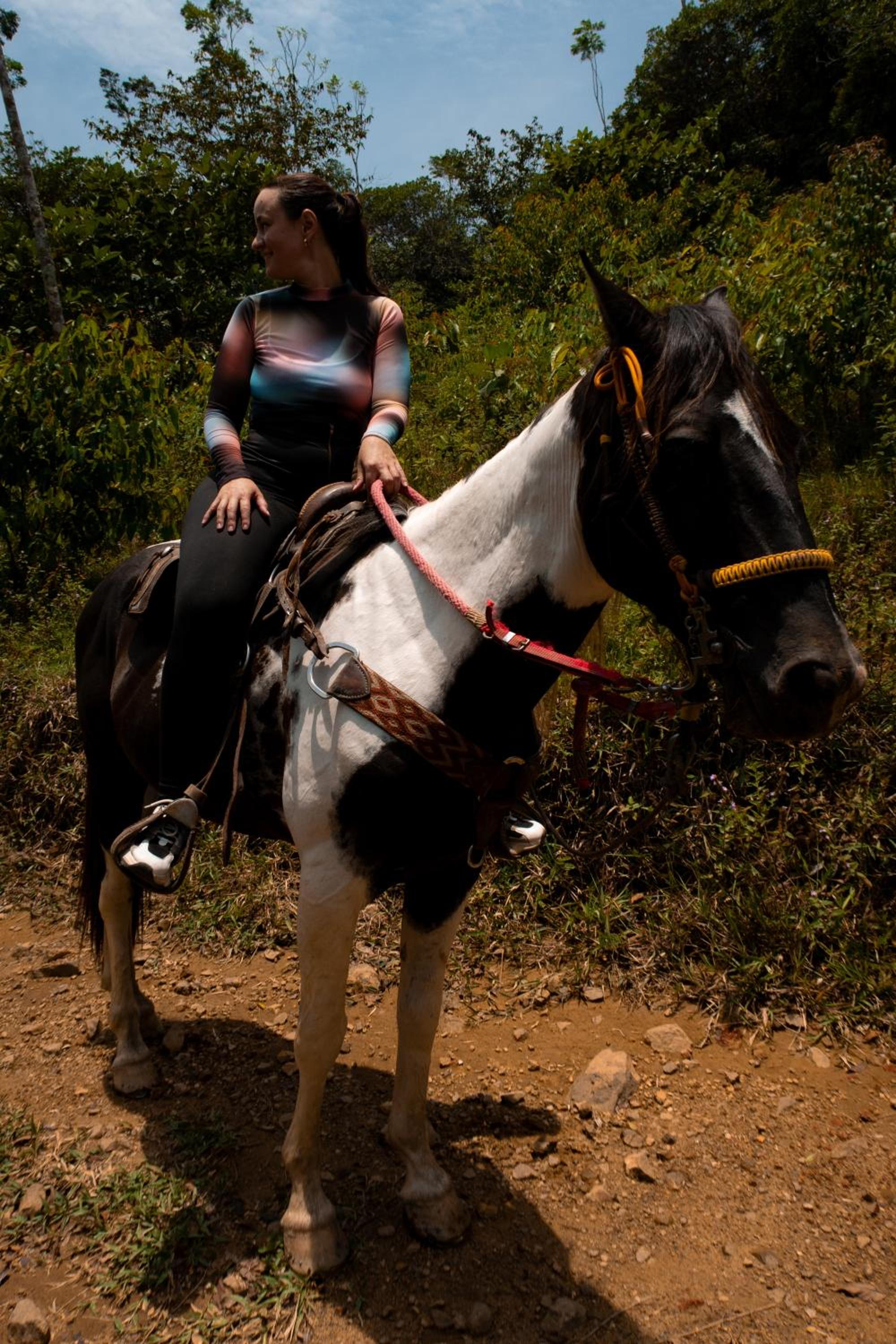Hospedaje RioBosque San Carlos