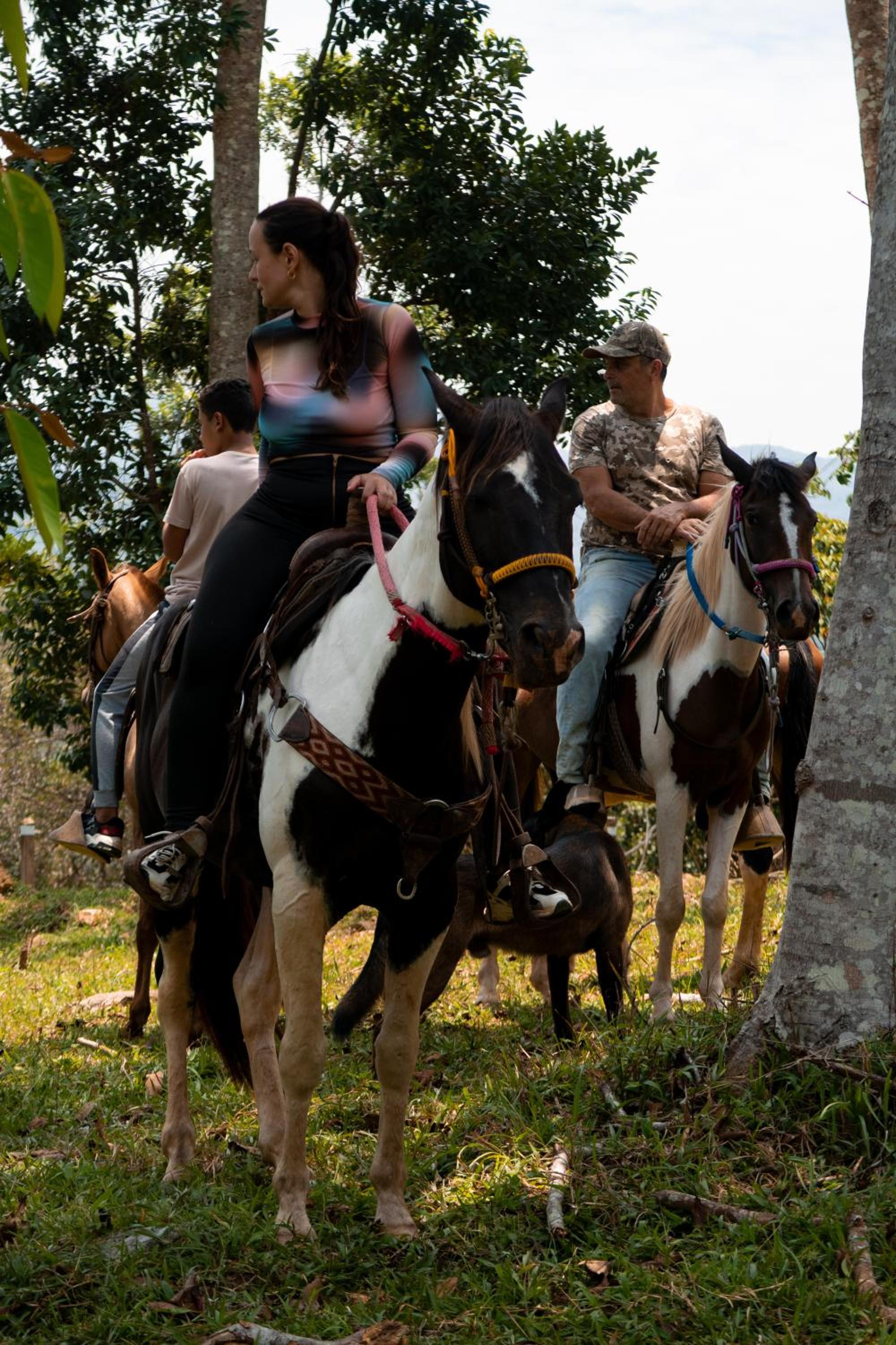 Hospedaje RioBosque San Carlos
