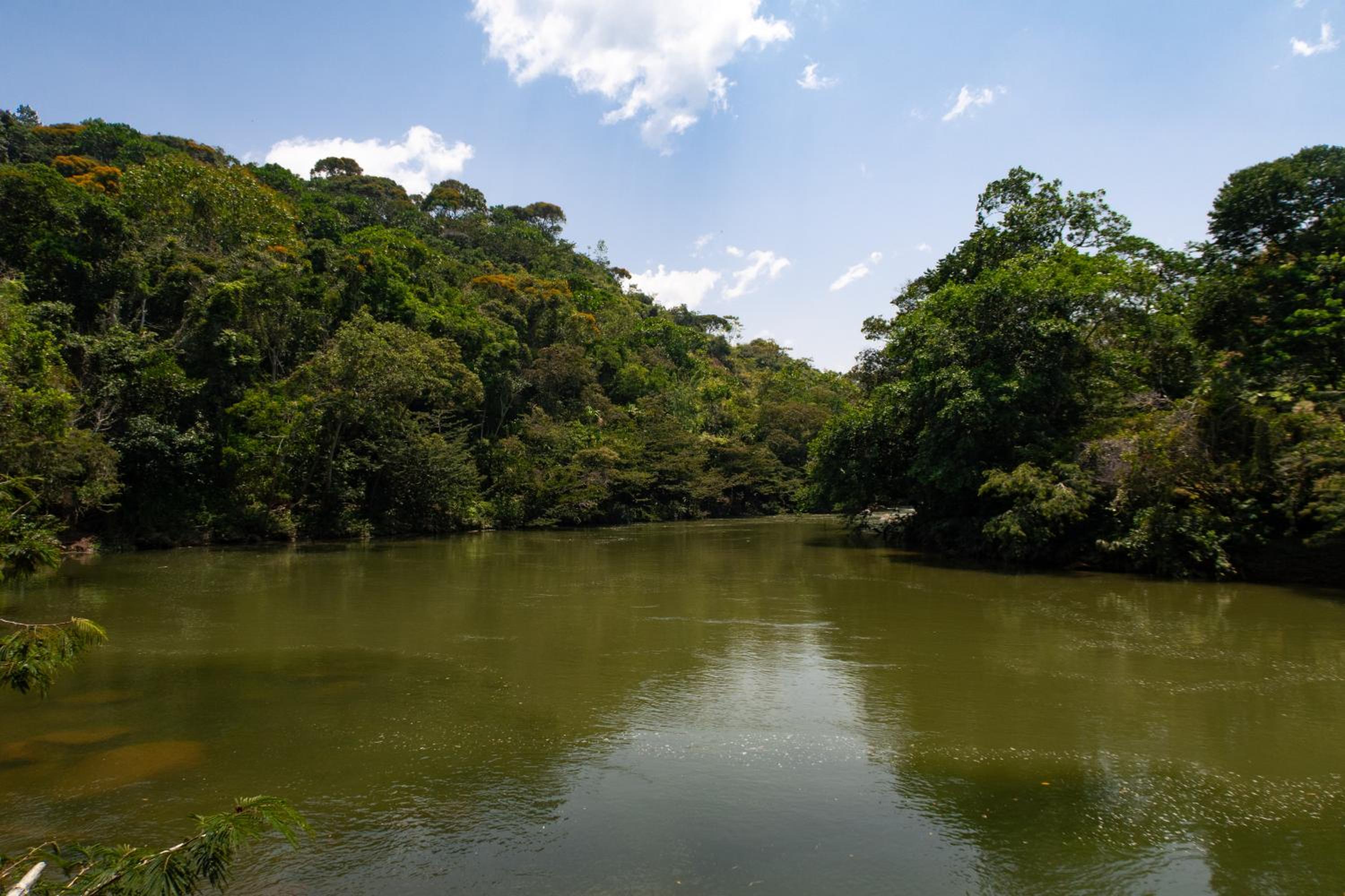 Hospedaje RioBosque San Carlos