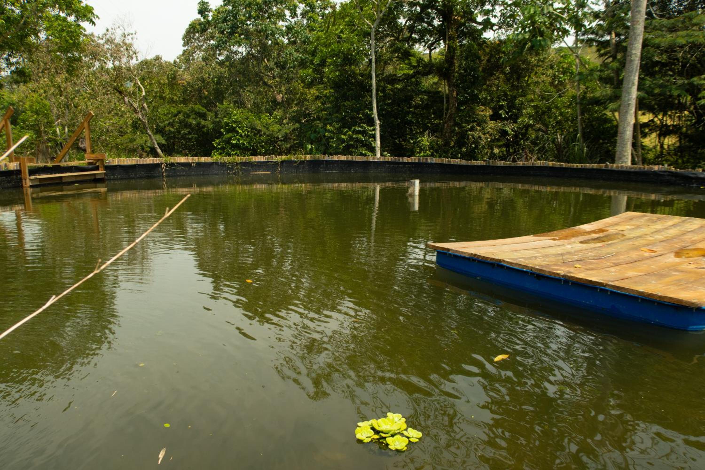Hospedaje RioBosque San Carlos