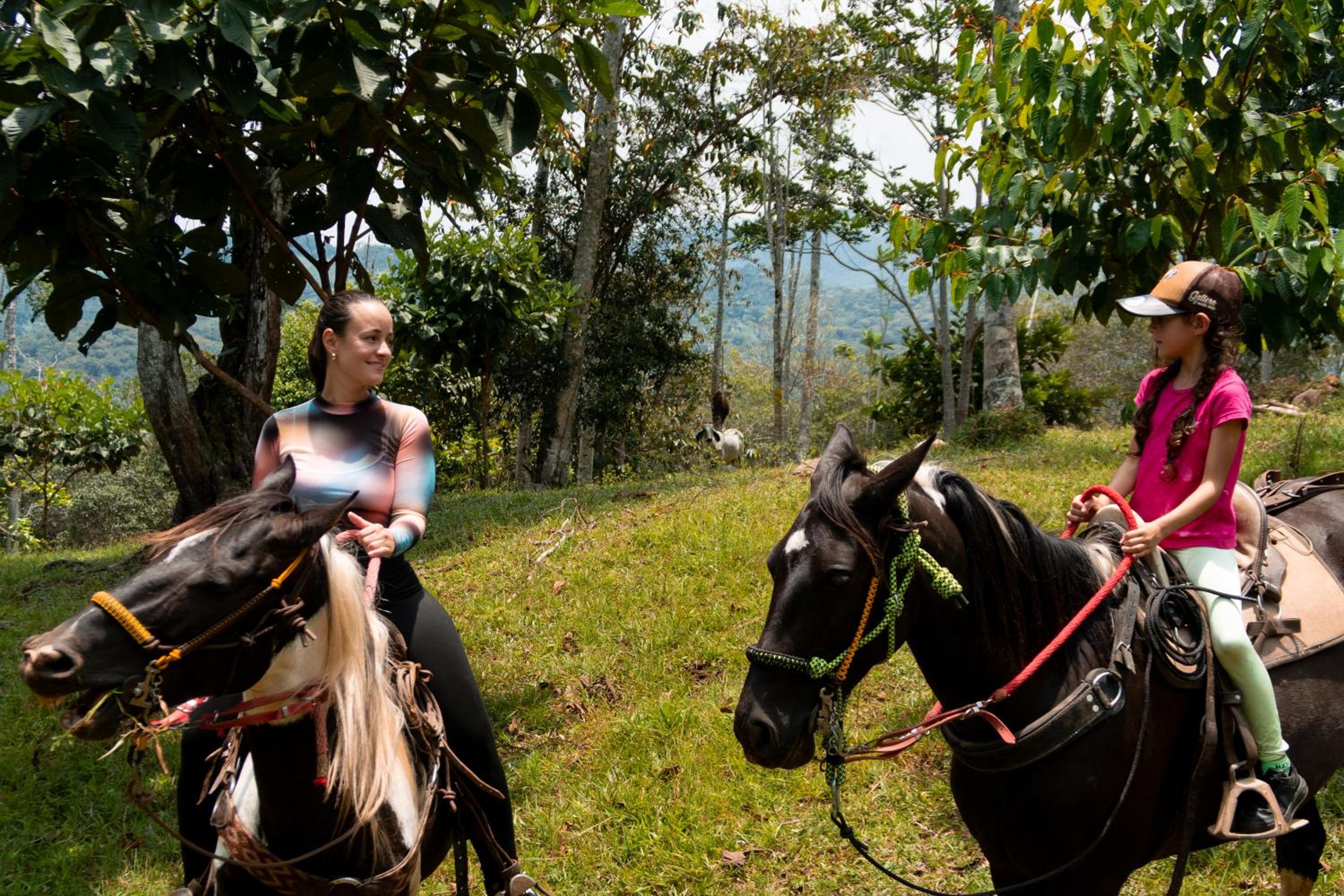 Hospedaje RioBosque San Carlos