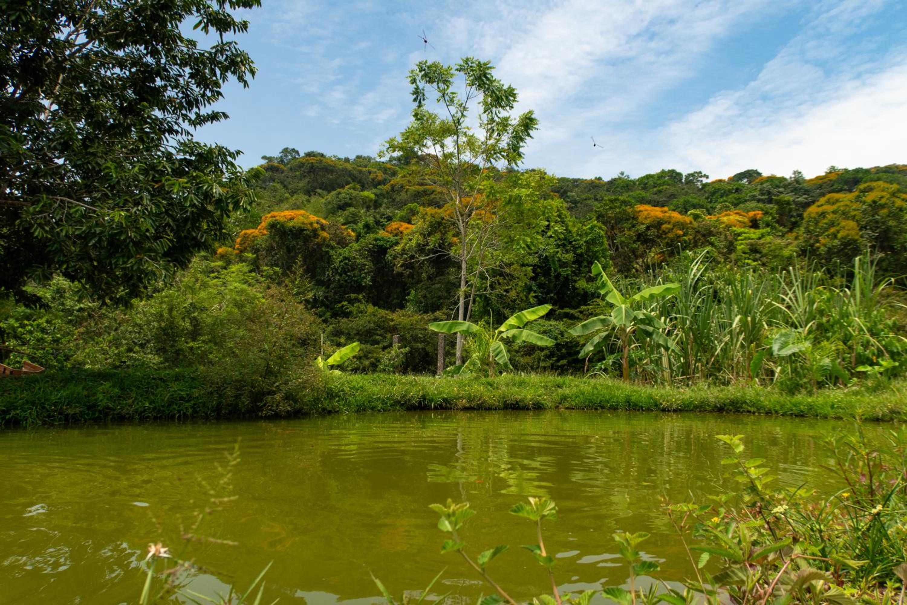 Hospedaje RioBosque San Carlos