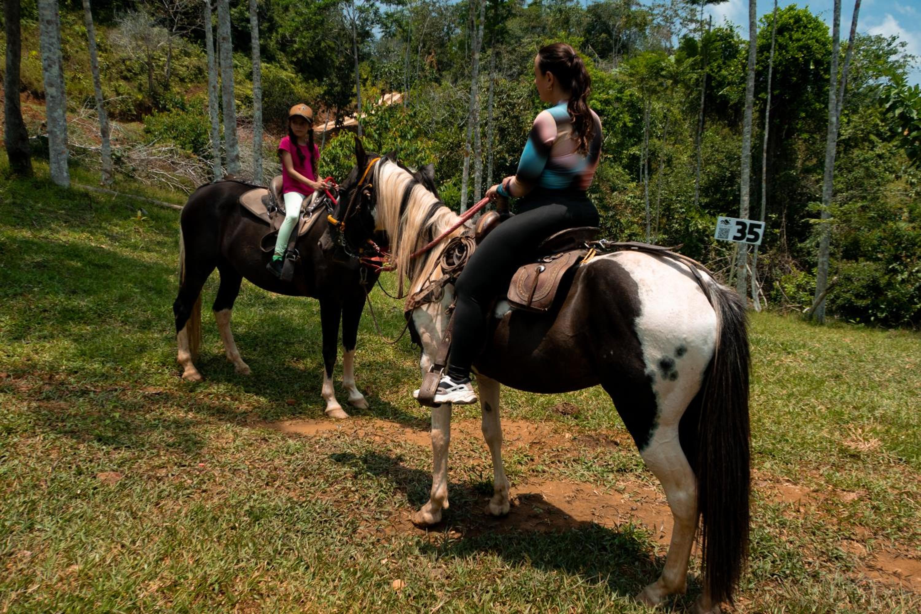 Hospedaje RioBosque San Carlos