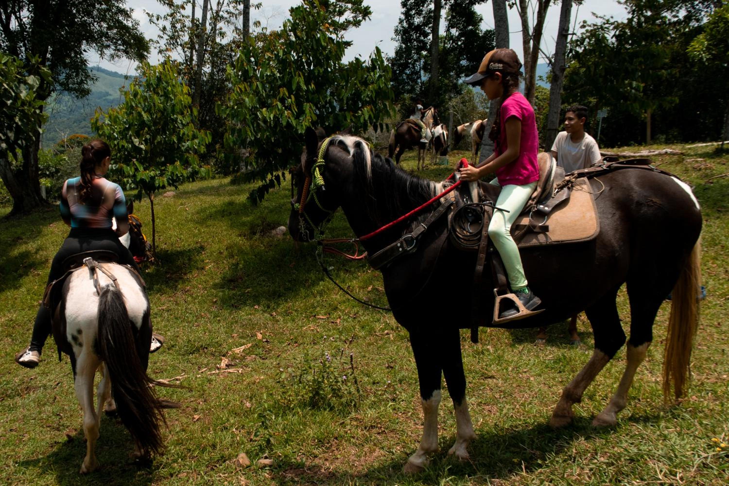 Hospedaje RioBosque San Carlos