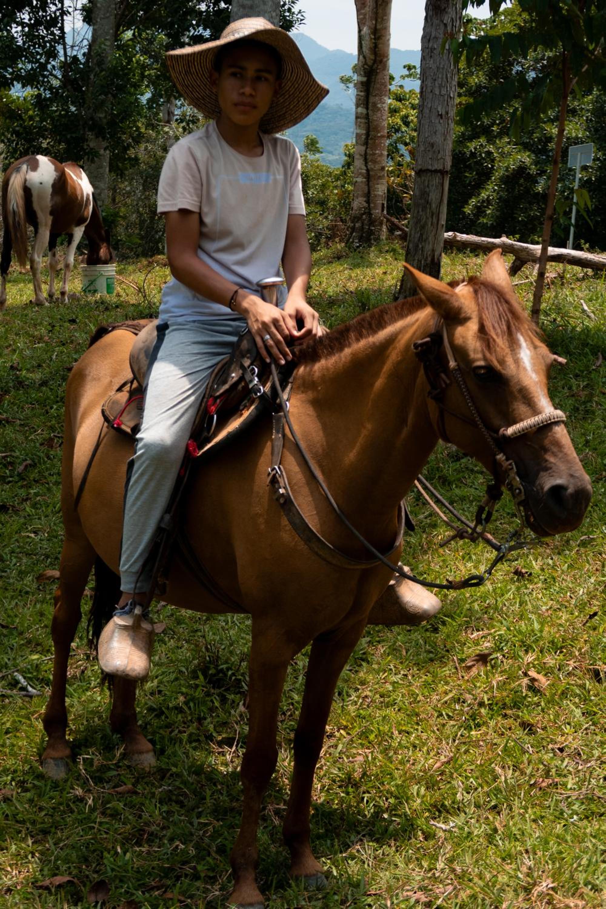 Hospedaje RioBosque San Carlos