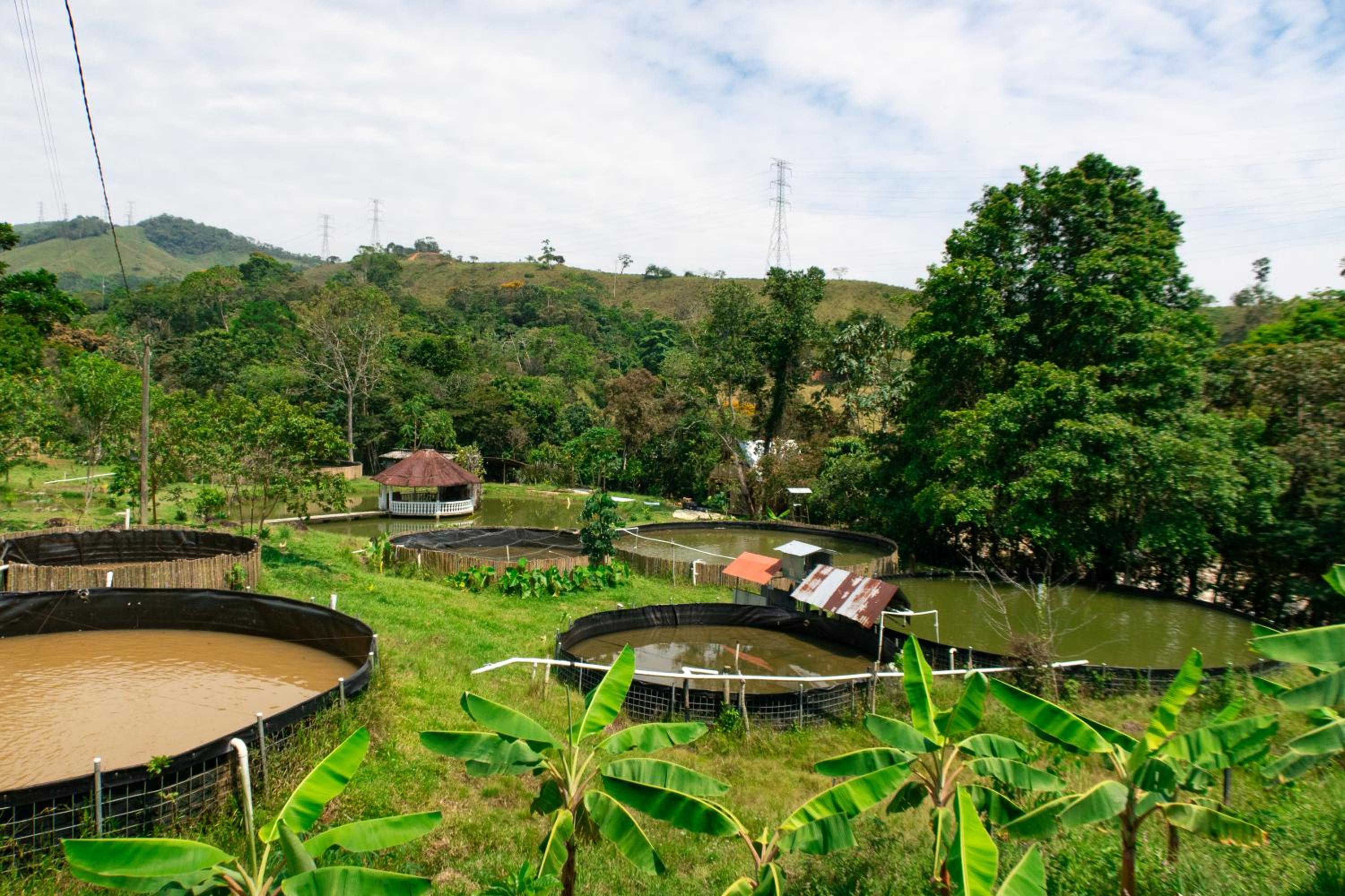 Hospedaje RioBosque San Carlos