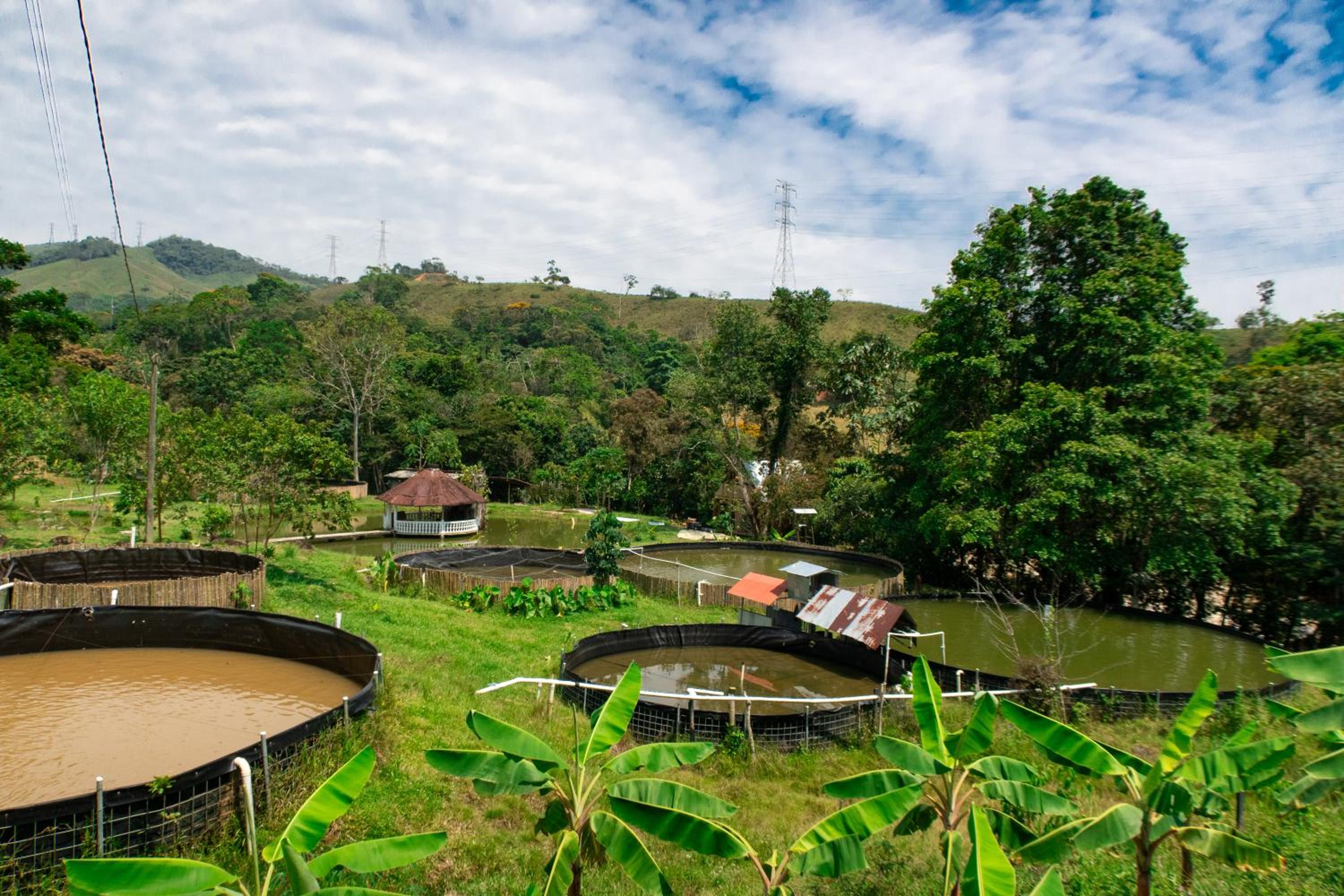 Hospedaje RioBosque San Carlos