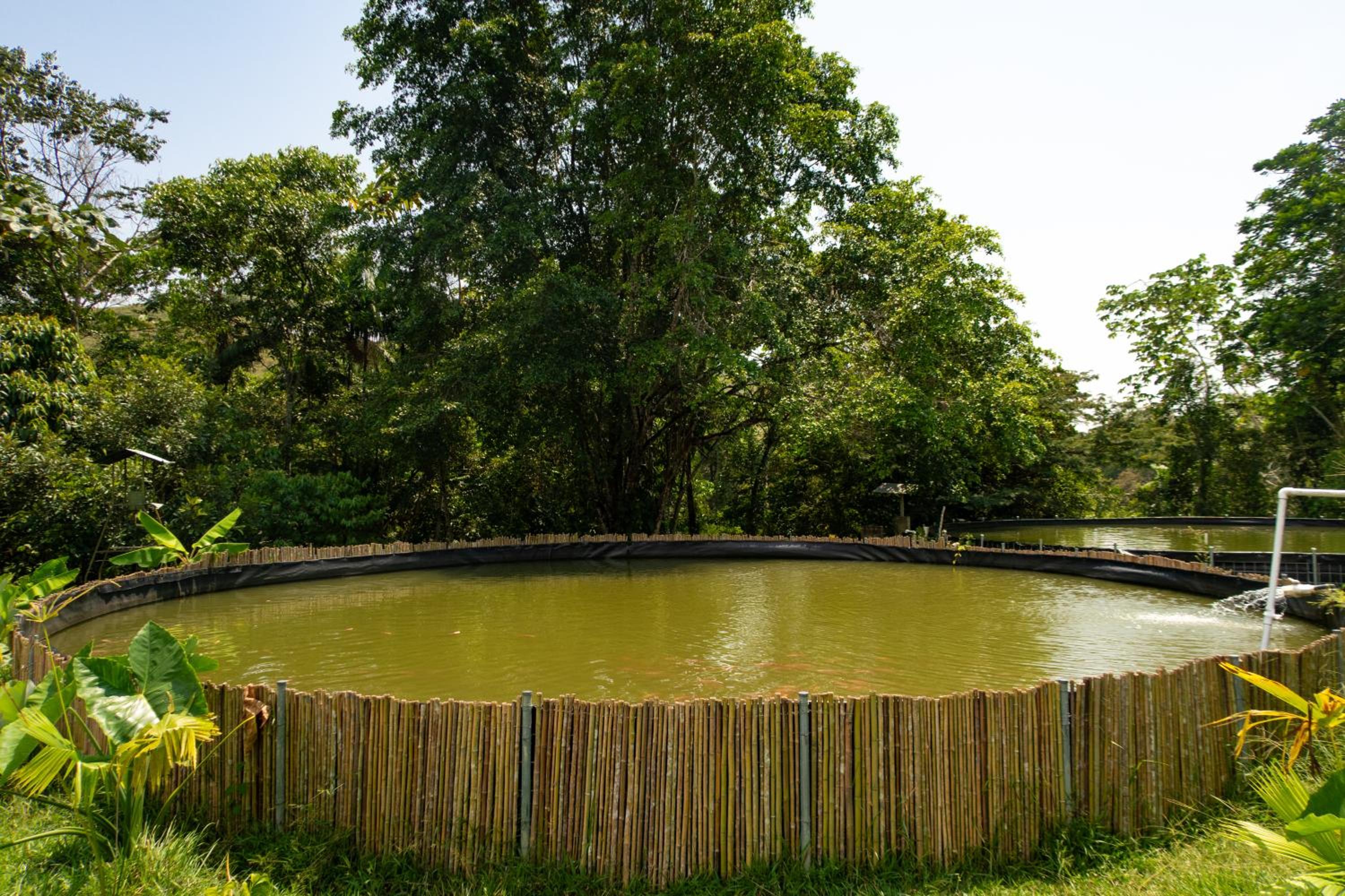 Hospedaje RioBosque San Carlos