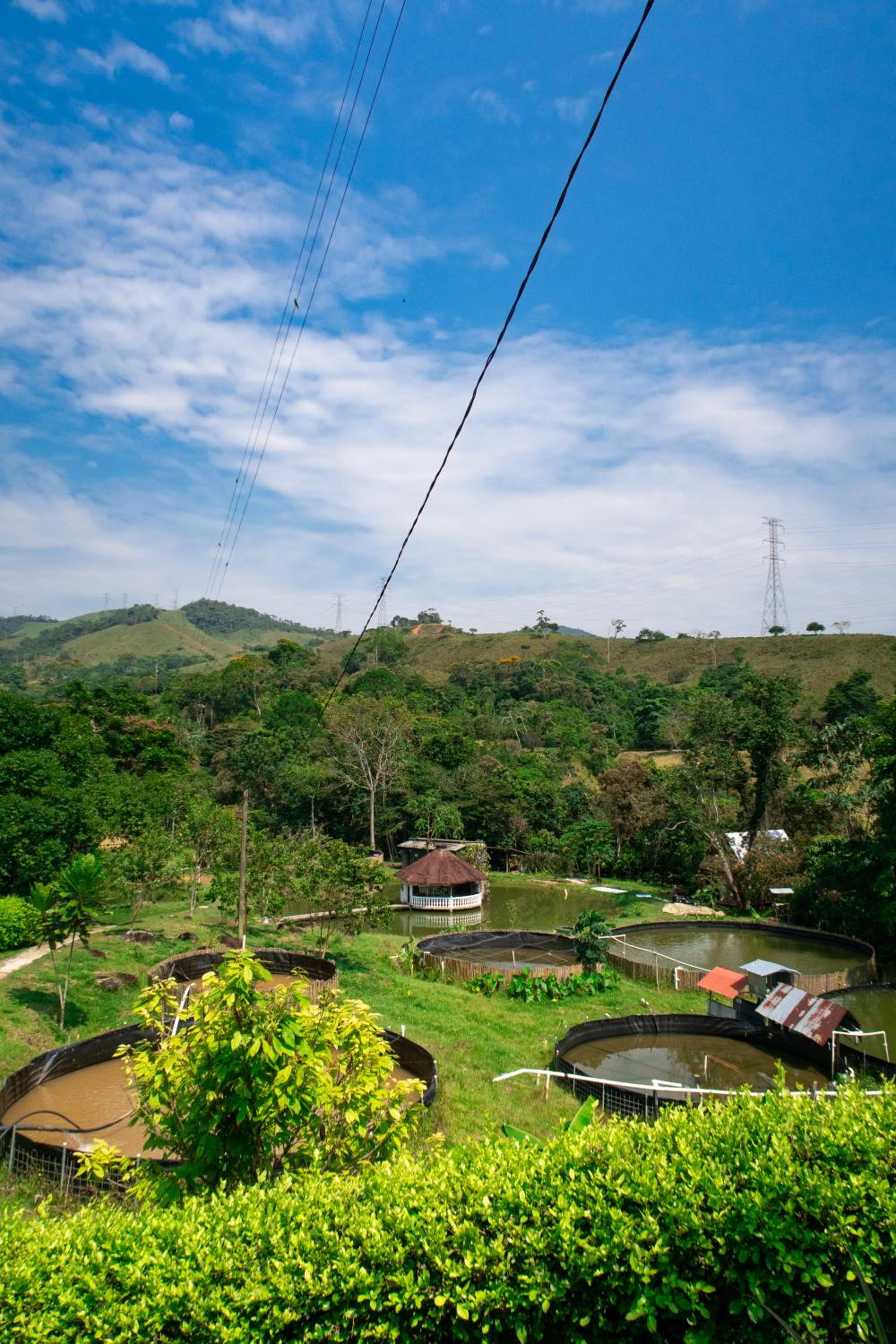 Hospedaje RioBosque San Carlos