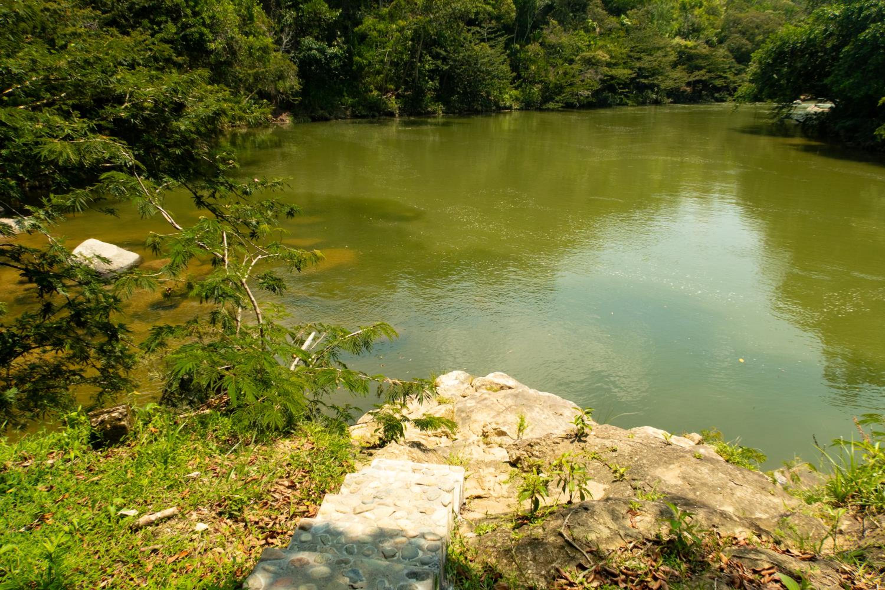 Hospedaje RioBosque San Carlos