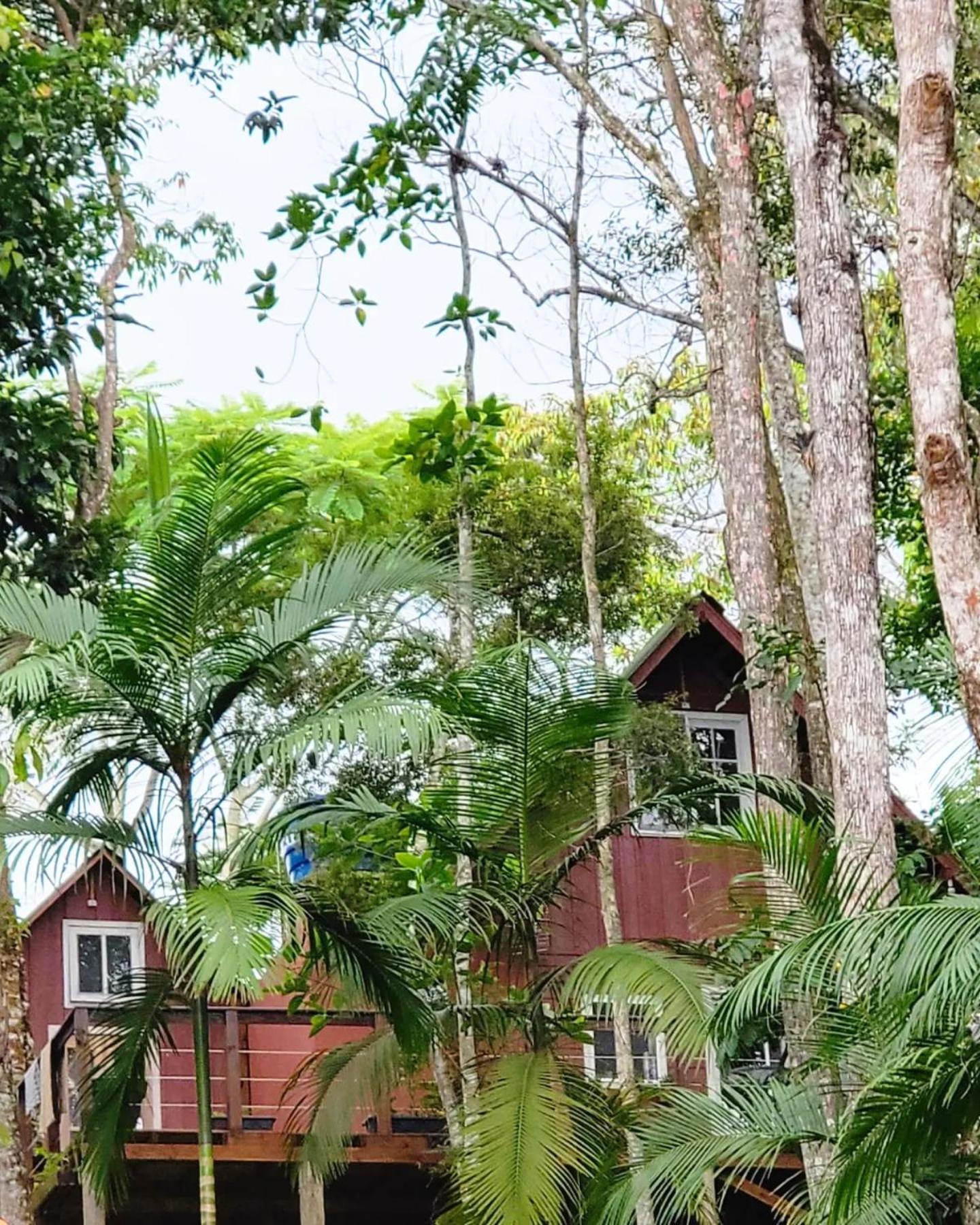 Bulegreen Cabanas