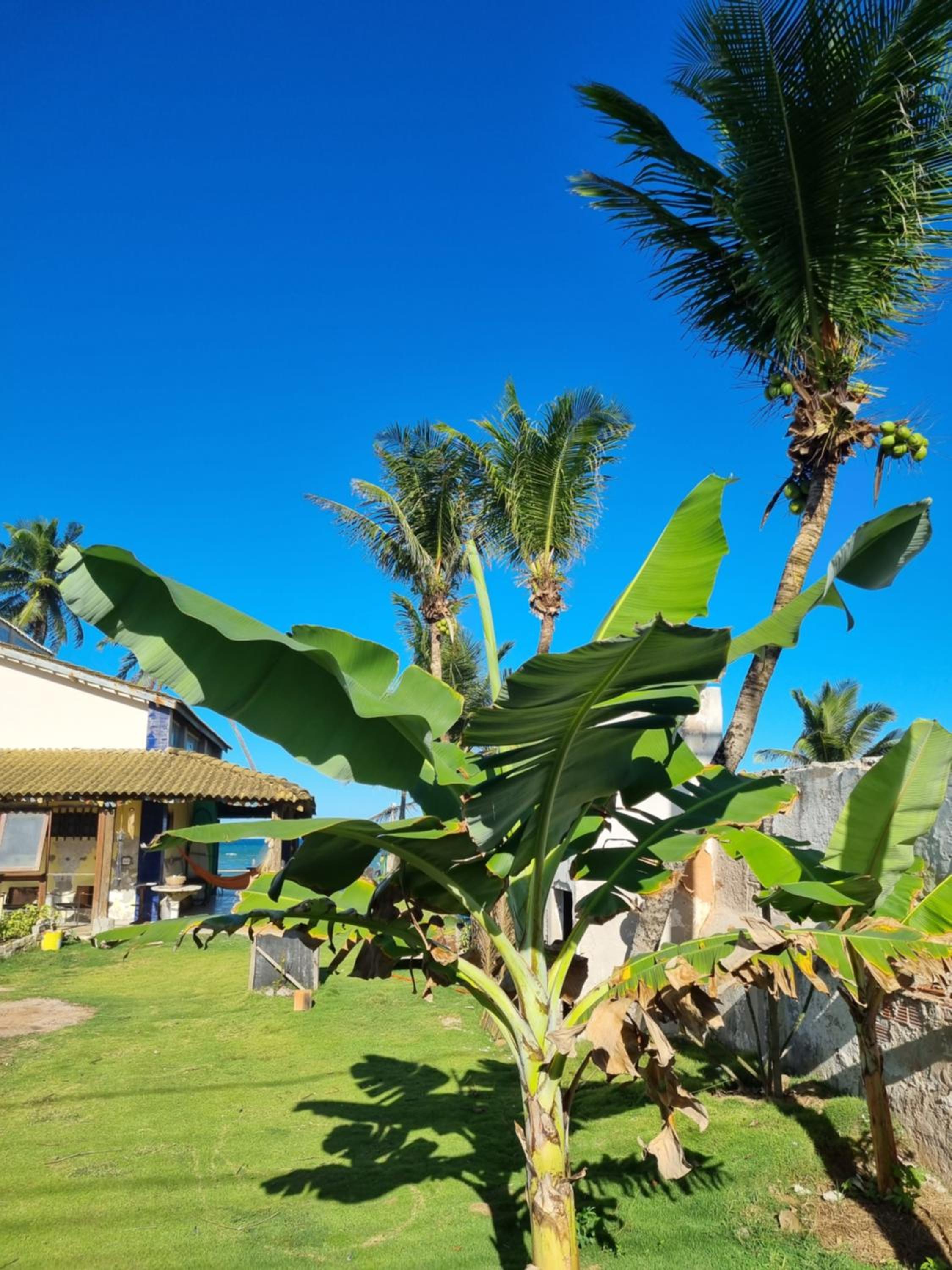 Casa de Jauà - SeaView - Coliving