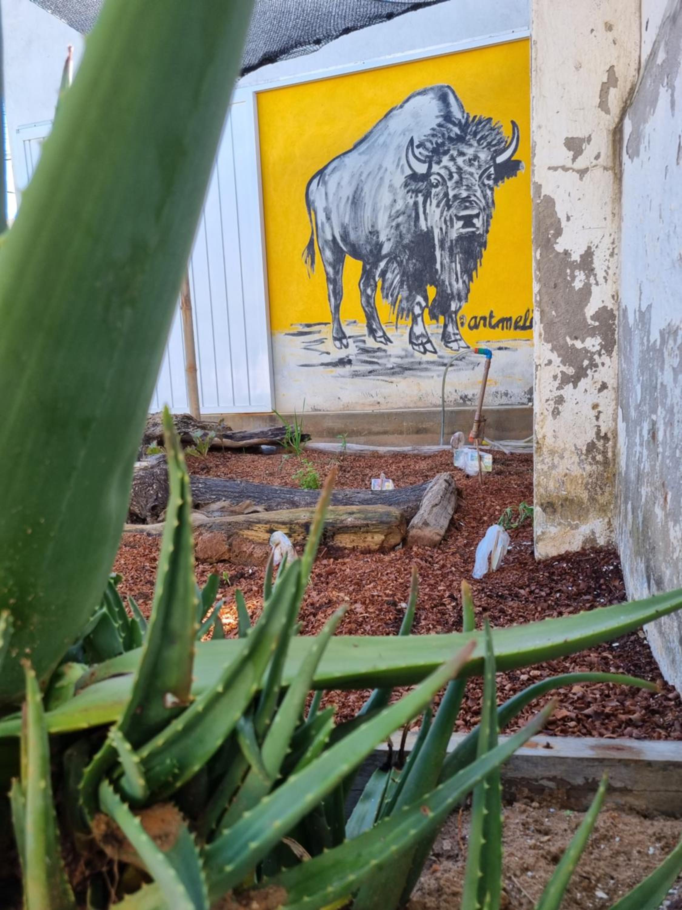 Casa de Jauà - SeaView - Coliving