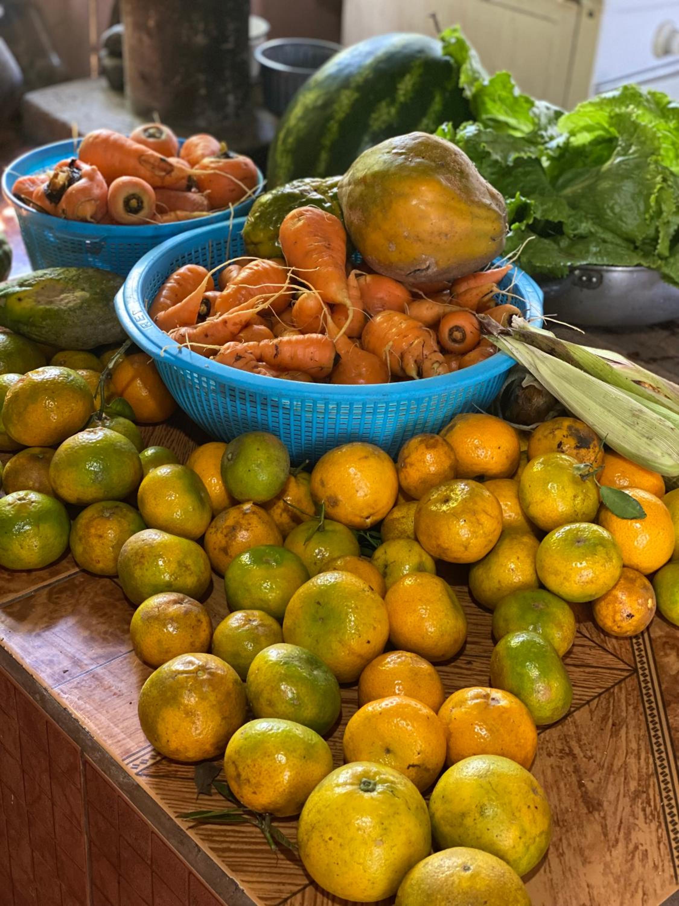 Finca Agroecológica El Rosal