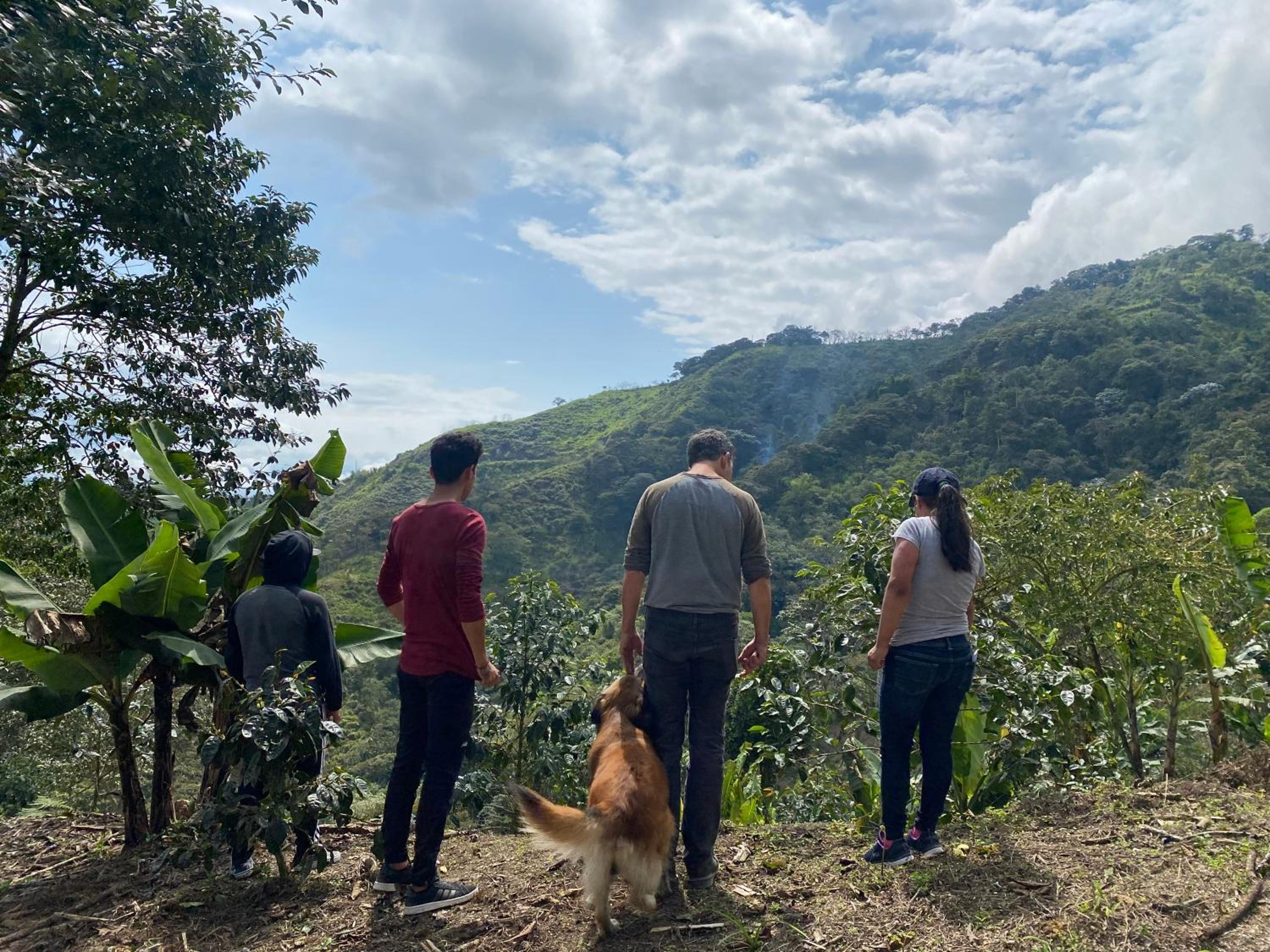 Finca Agroecológica El Rosal