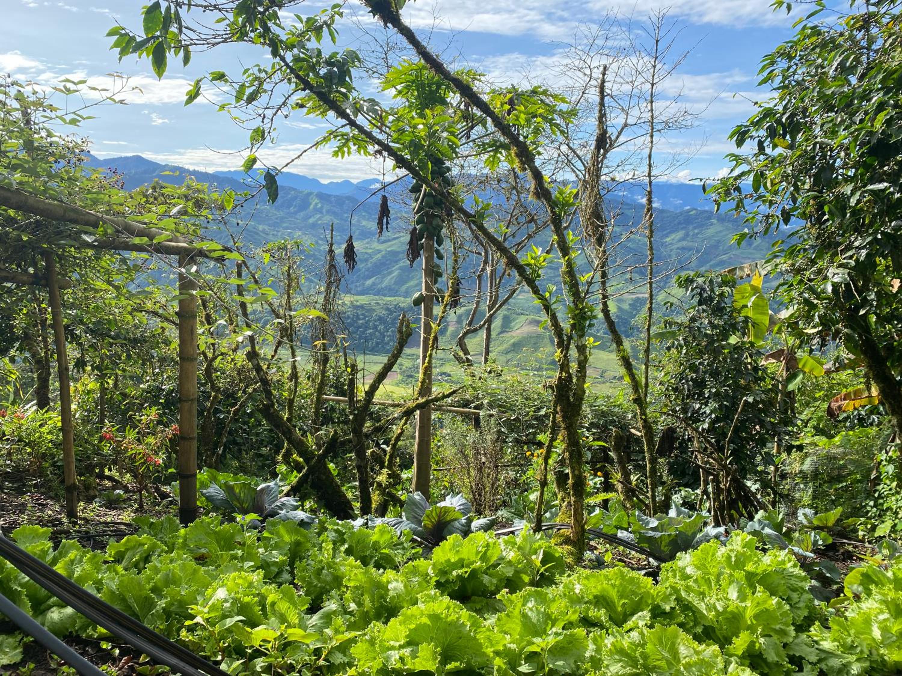Finca Agroecológica El Rosal