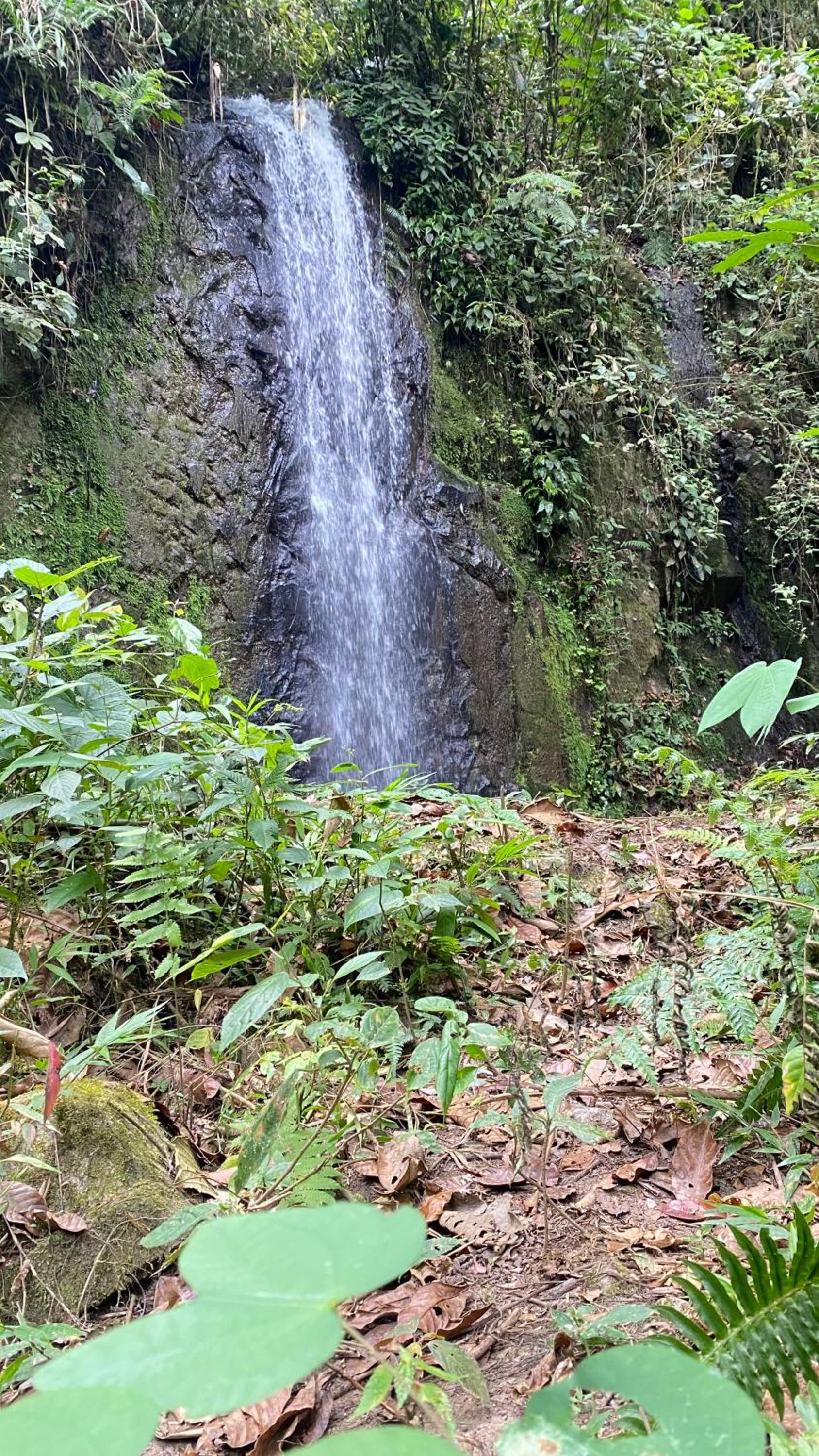 Finca Agroecológica El Rosal