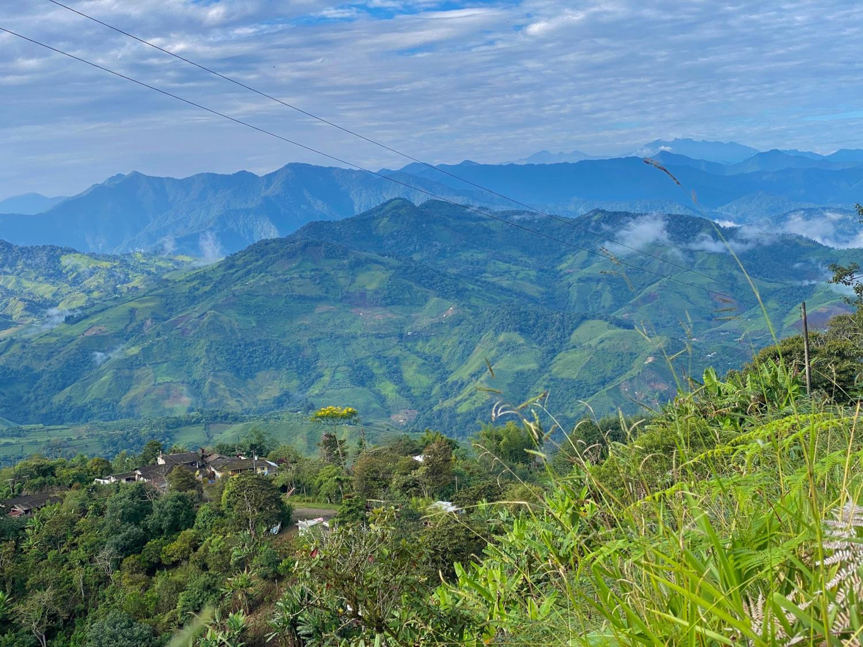 Finca Agroecológica El Rosal