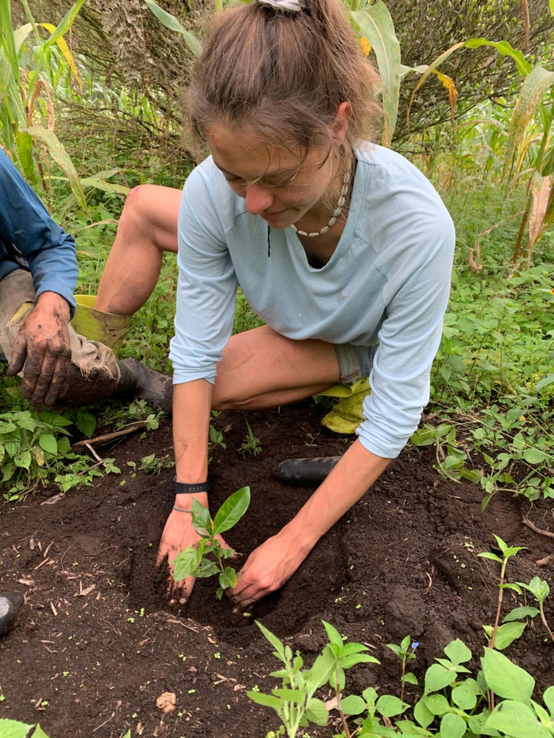 Finca Agroecológica El Rosal