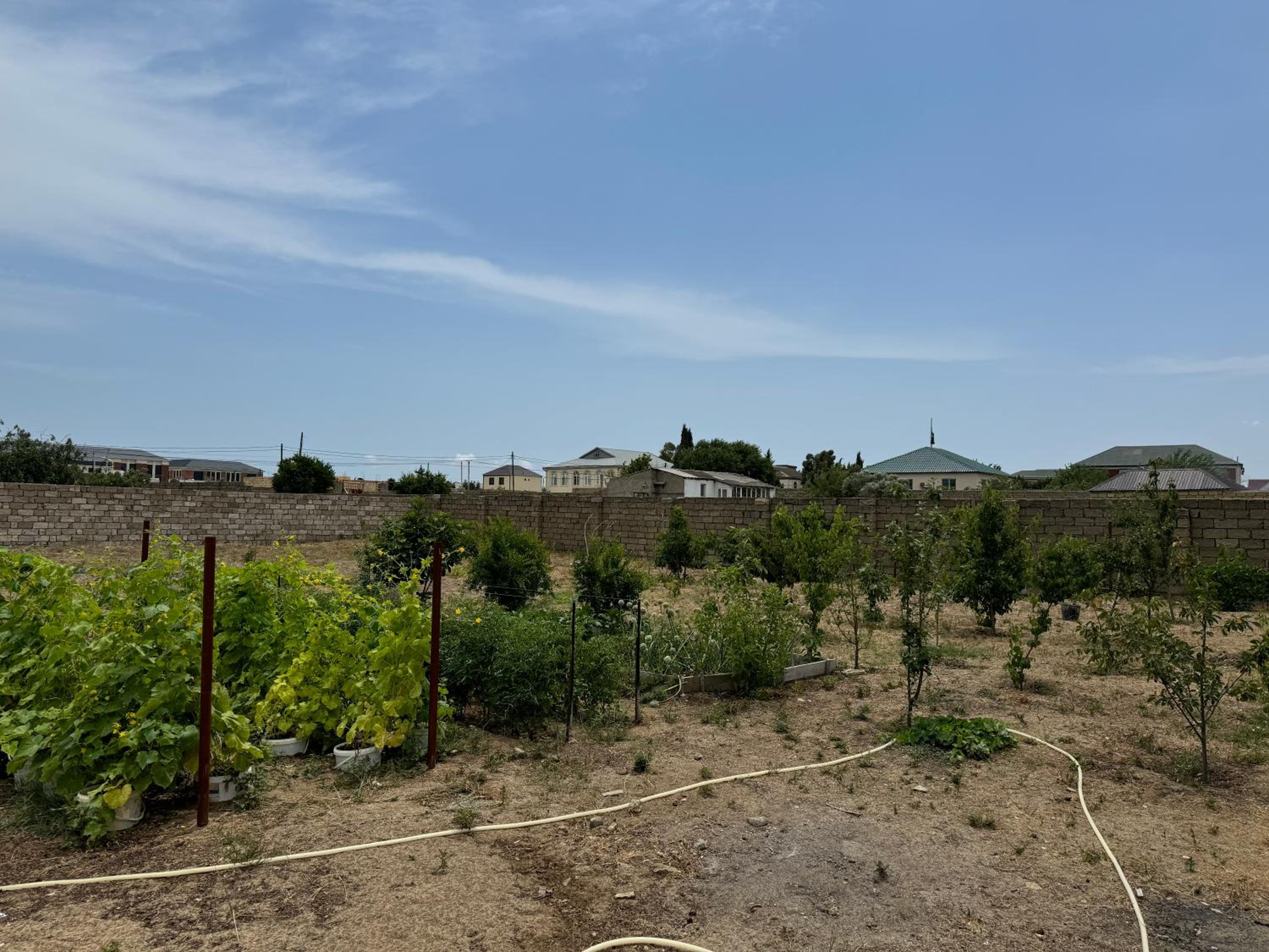 Pirşağı bağ evi