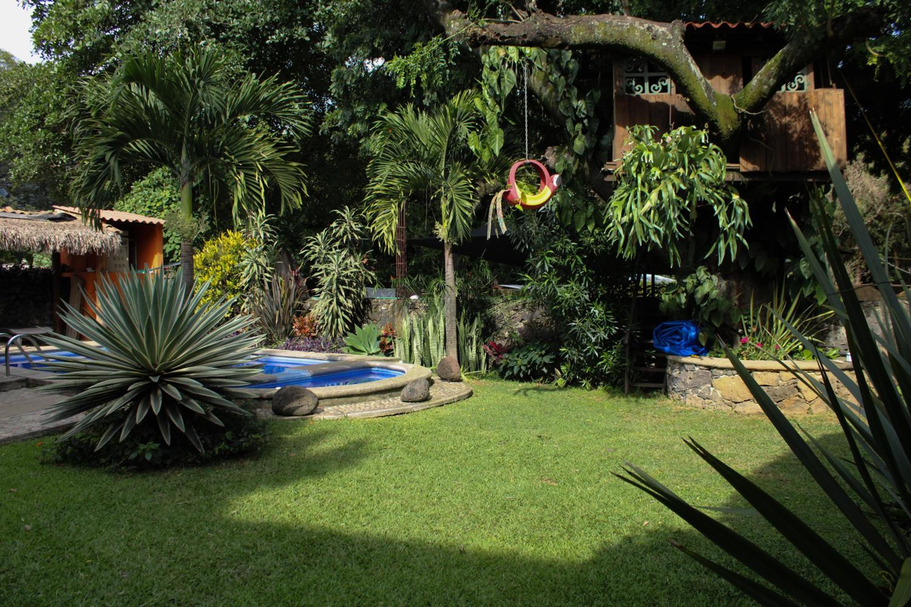 Photo 23