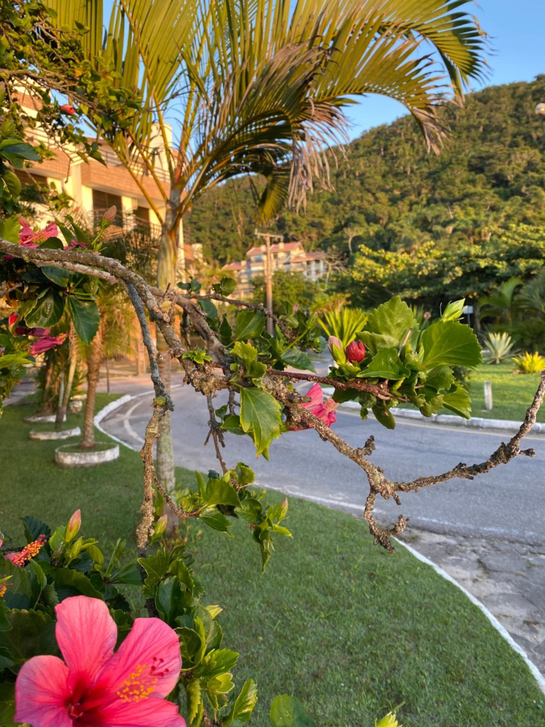 Apartamento Praia Brava Florianópolis condomínio
