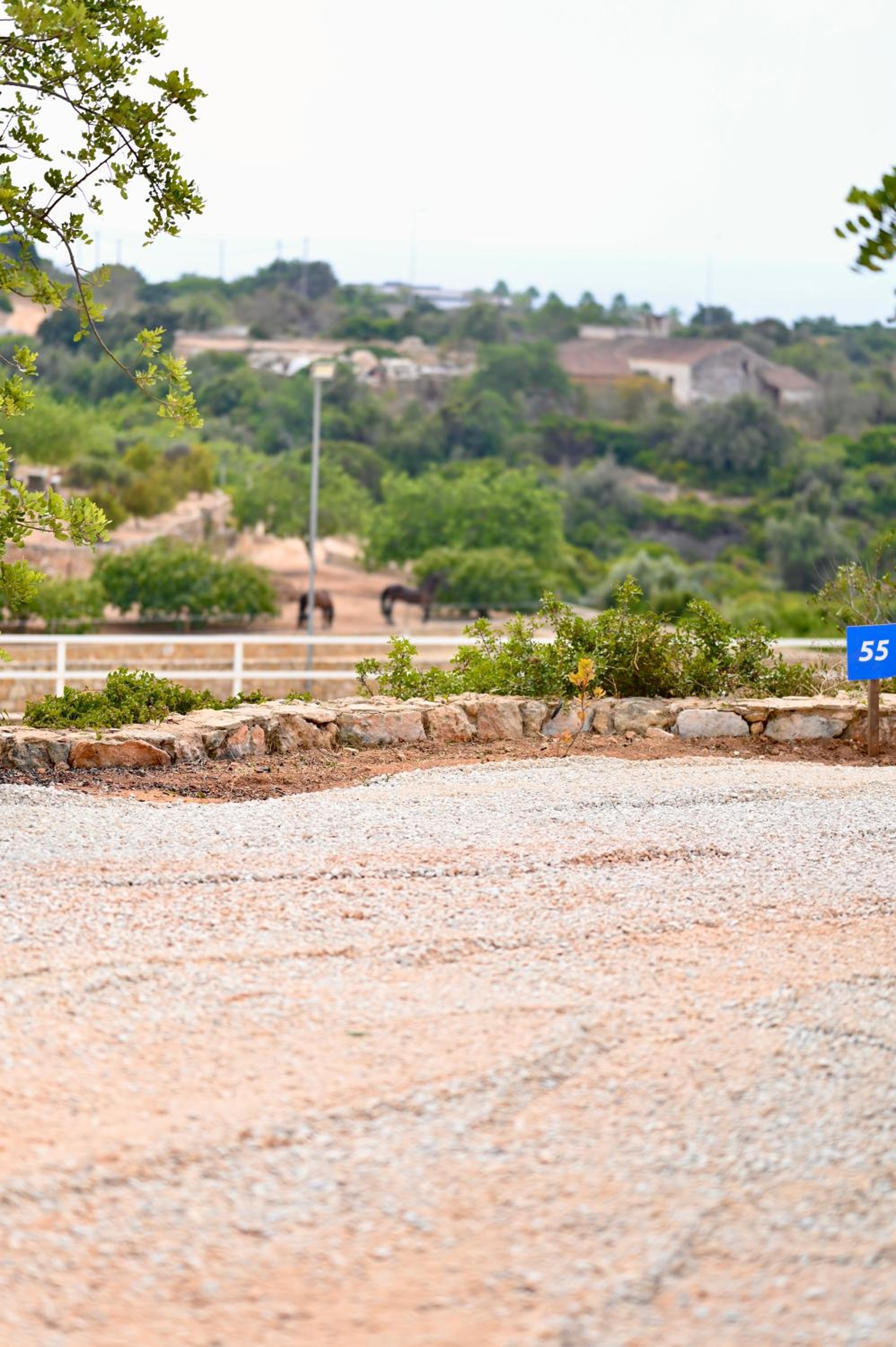 parking