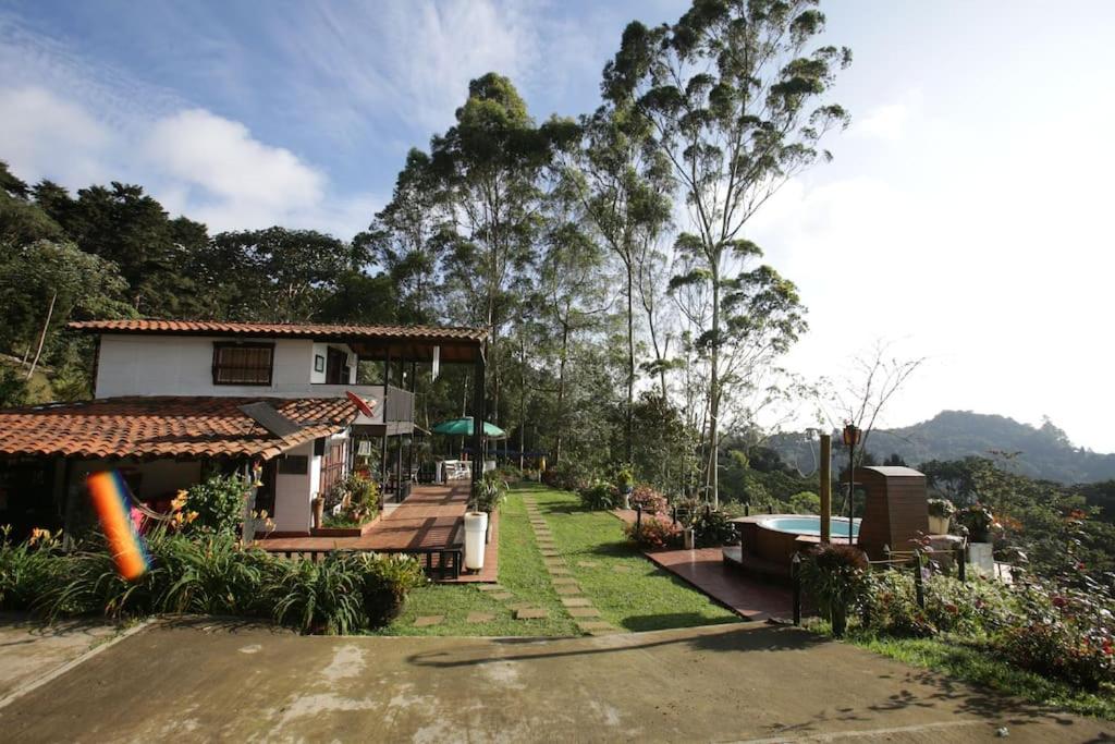 El Barranquero
