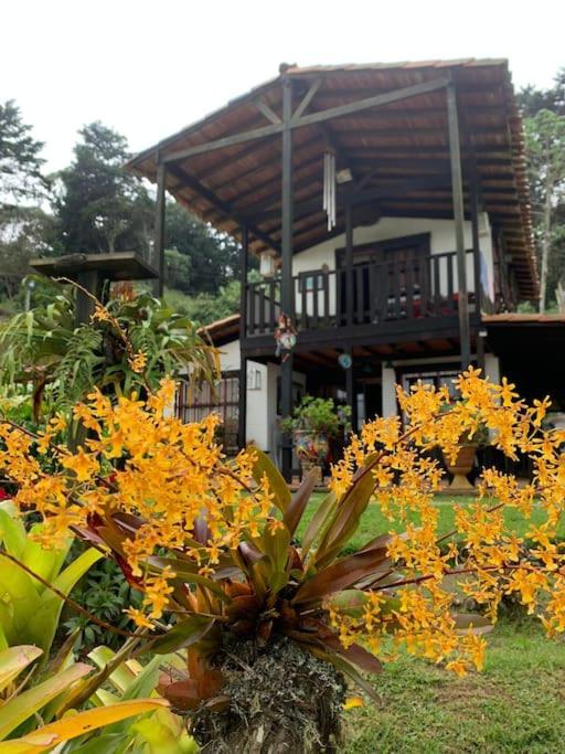 El Barranquero