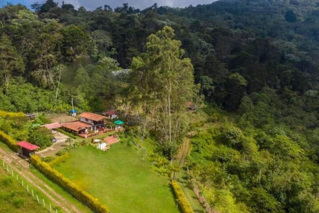 El Barranquero