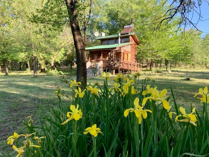 NOMADE cabin rent