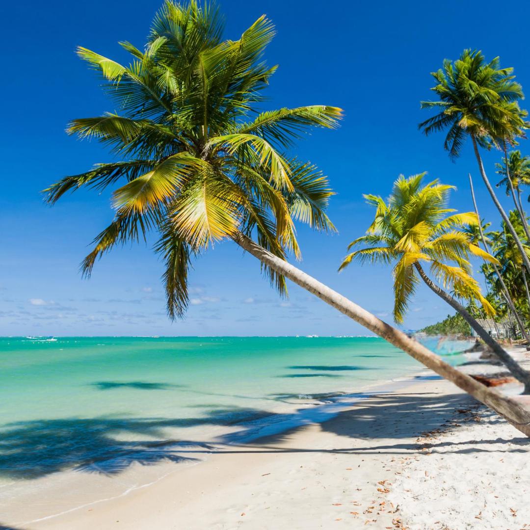 Porto de Galinhas - Flat 324-D Makia Beach Experience, Muro Alto